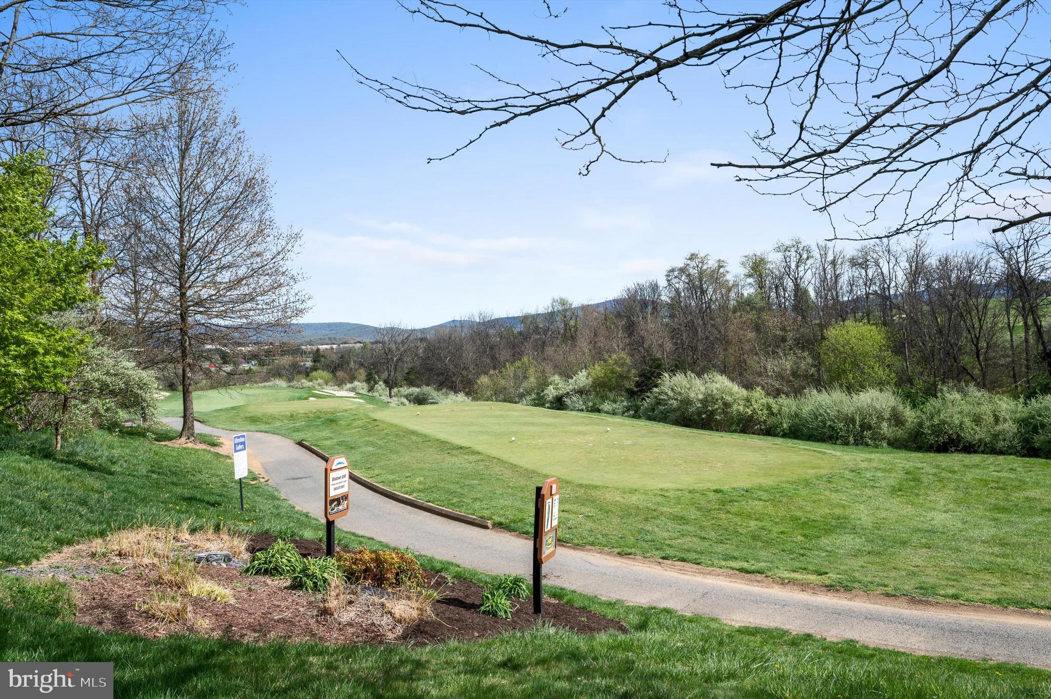 BLUE RIDGE SHADOWS TOWNS - Residential