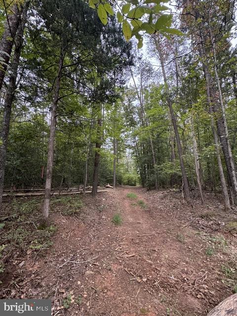 Vacant Land For Sale - Old Office Road<br/> LOCUST GROVE, VA 22508
