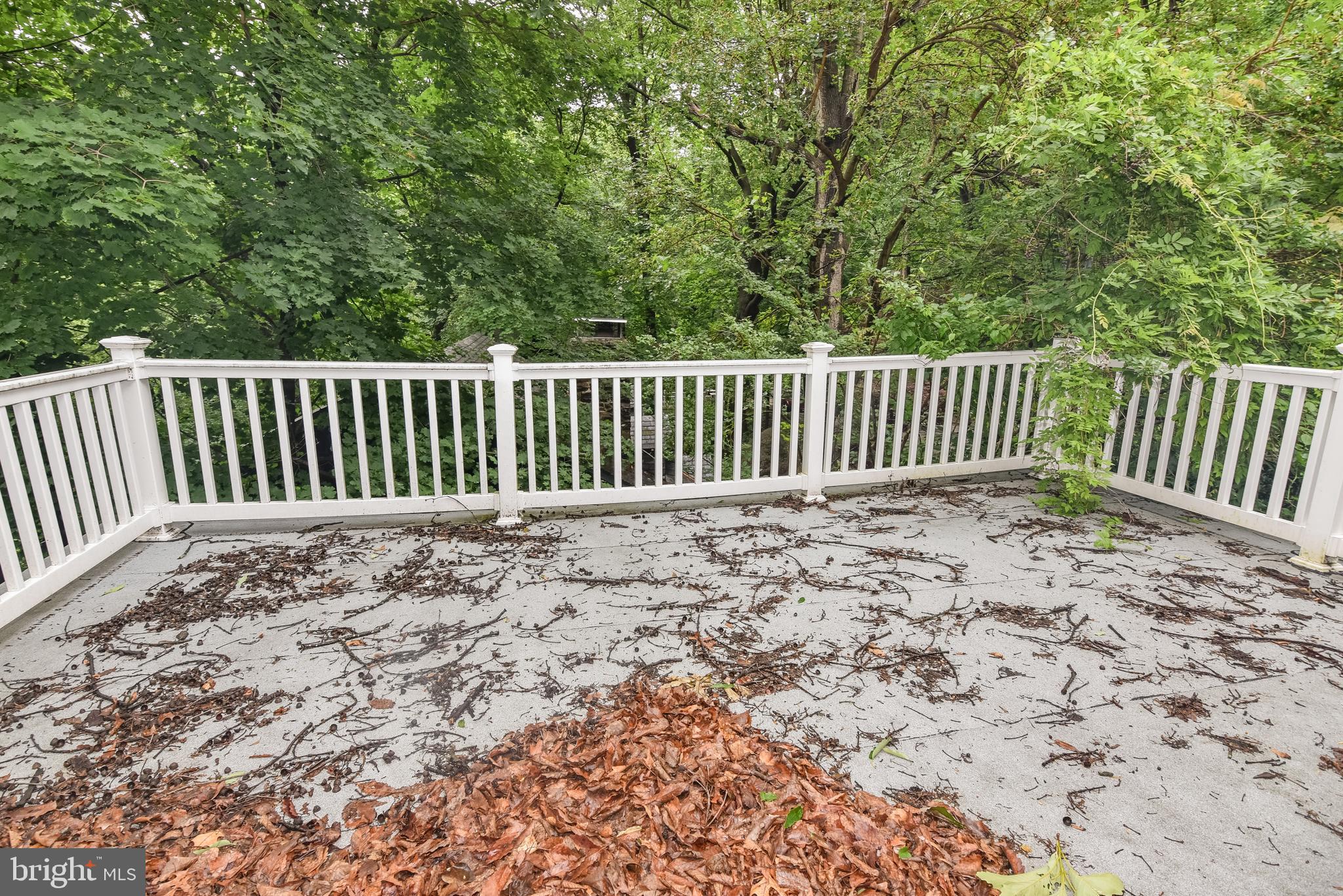 ROLAND PARK - Residential