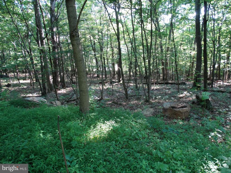 Seeking privacy to build your dream house?  Want a great piece of wooded land for hunting or a cabin retreat? This 5.47 acre lot has so much to offer. There are beautiful trees, a quaint stream, and wildlife galore.  3.17 acres are in the Forest Conservation Plan which allows peace of mind that privacy will be maintained and the remaining acreage can be clear cut by the owner if so desired! The proposed dwelling site and sewer reserve area are recorded on the plat.  A perc test was approved before the current owners took possession.   There is a small shed/cabin like structure on the property which is in need of some tlc. Underground electric box is already in place near the beginning of the access path.   Please be advised that a portion of the path near the stream buffer close to the shed/cabin gets quite swampy based on weather conditions and vehicles are not recommended past that point.  Boots are strongly suggested for when your agent accompanies you around the property.  Enjoy your own nature retreat and call for your tour and additional information today!