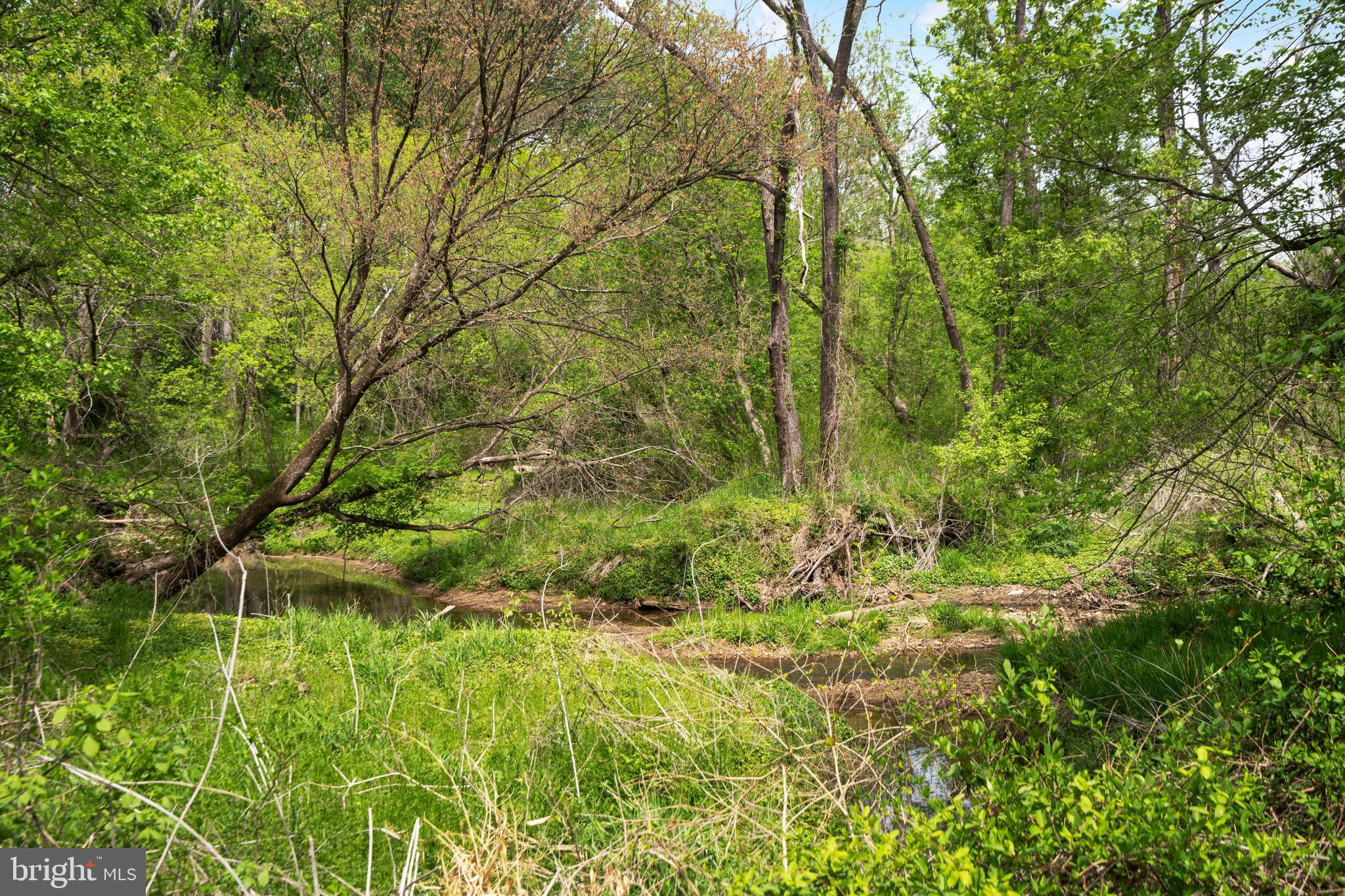 POTOMAC COMMONS - Residential