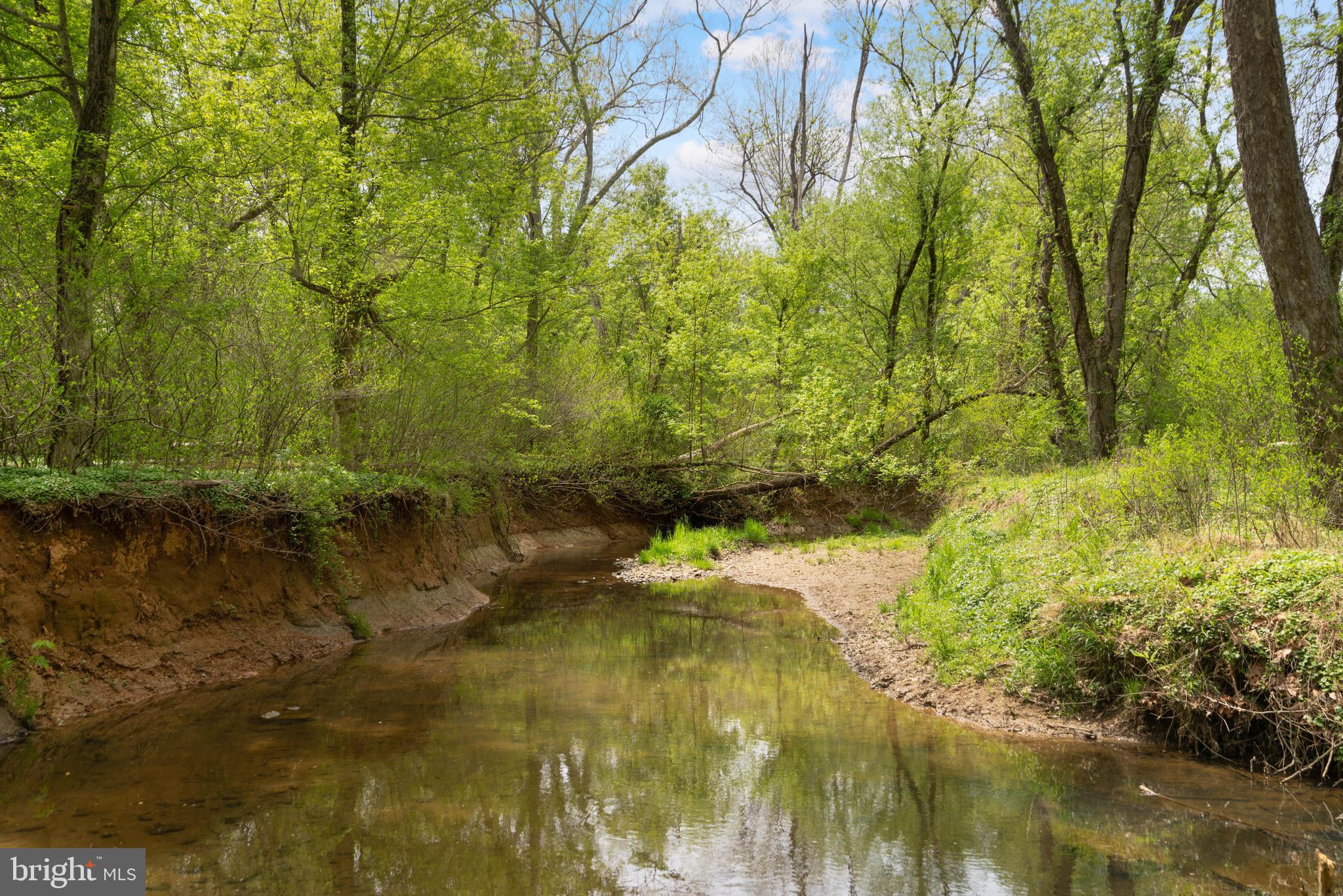 POTOMAC COMMONS - Residential