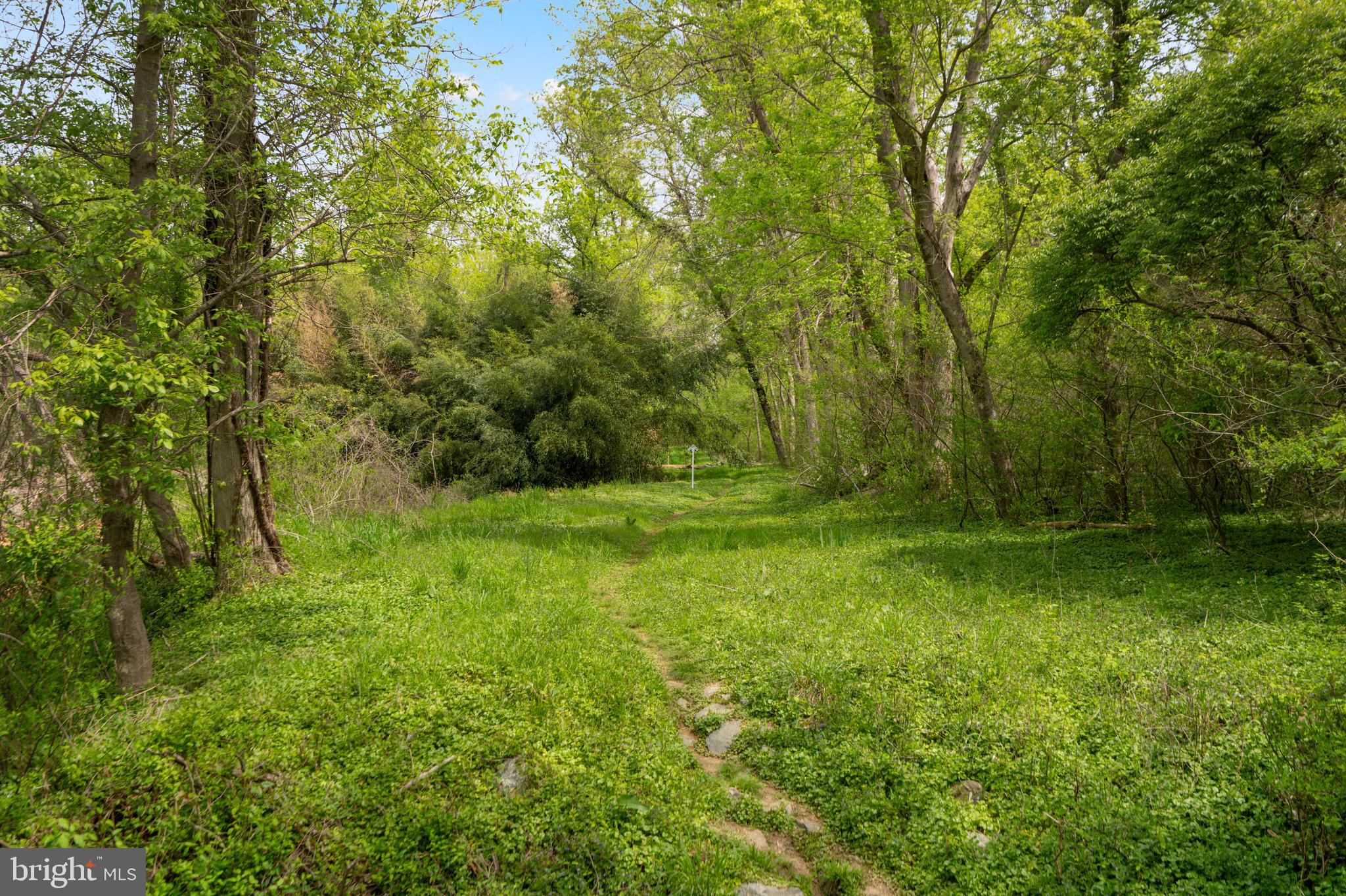 POTOMAC COMMONS - Residential