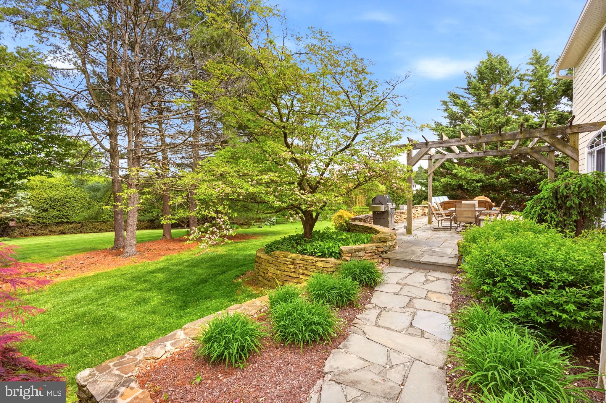 MILL VALLEY - Residential