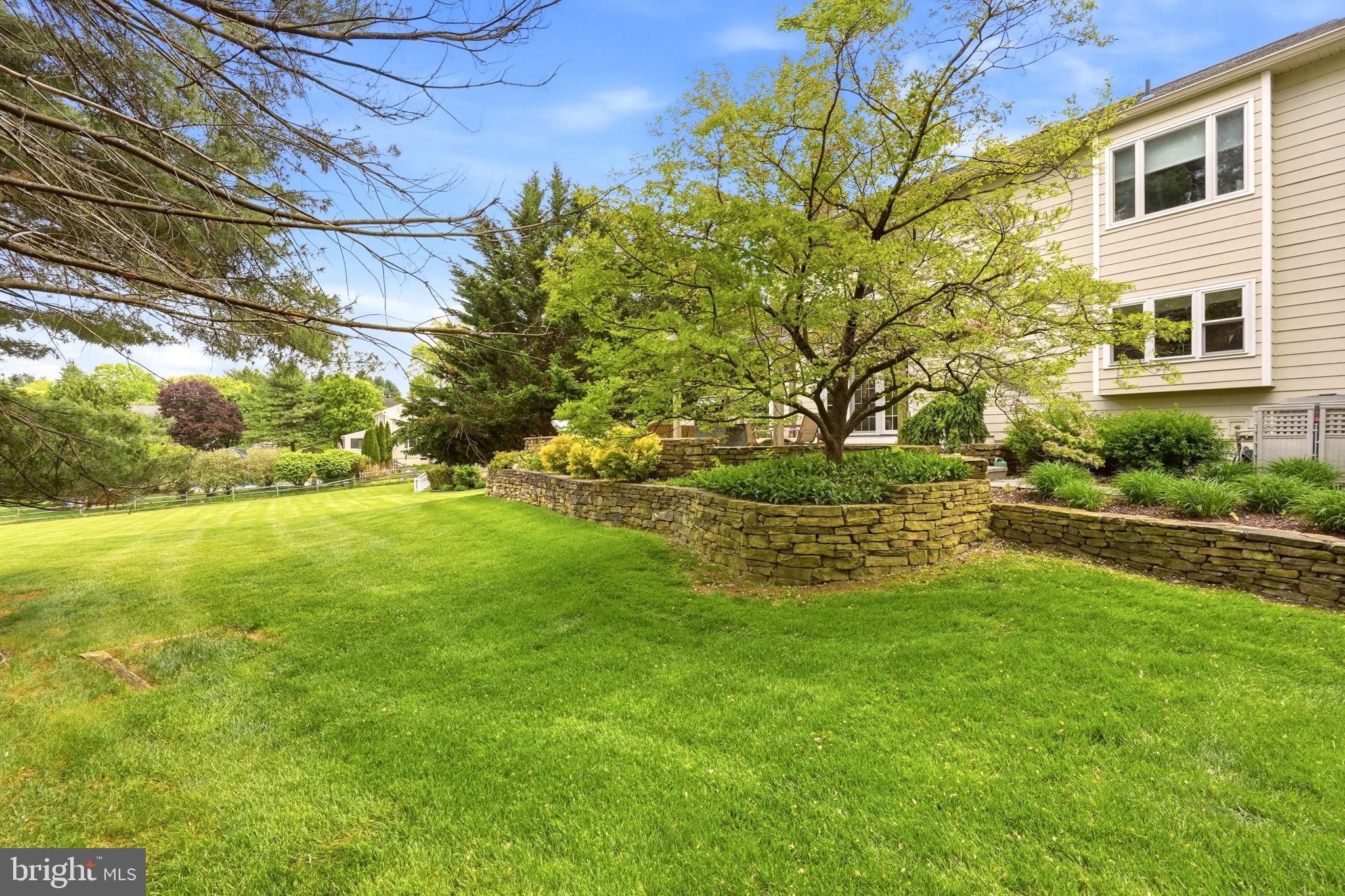MILL VALLEY - Residential