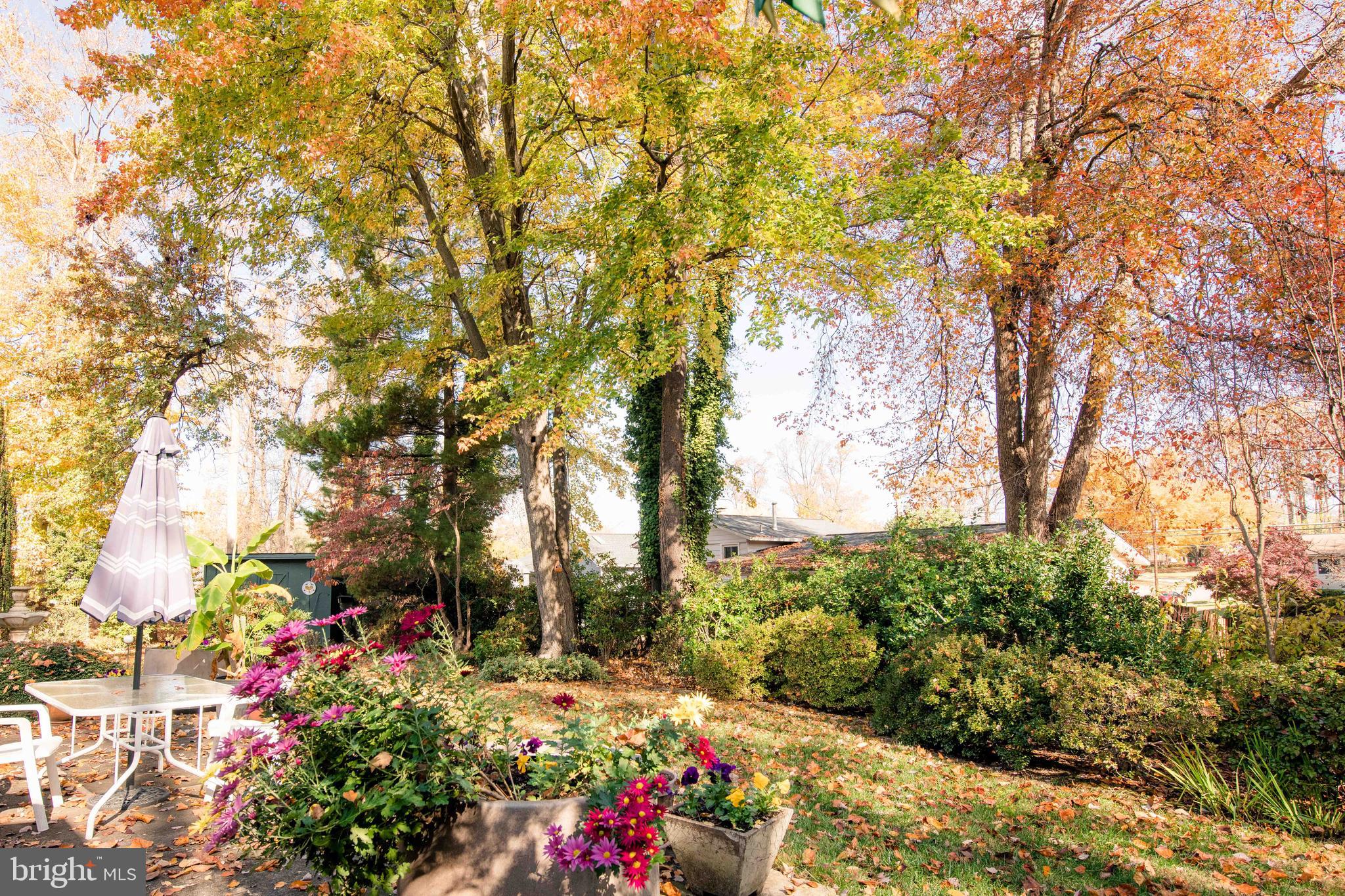 ANNANDALE TERRACE - Residential