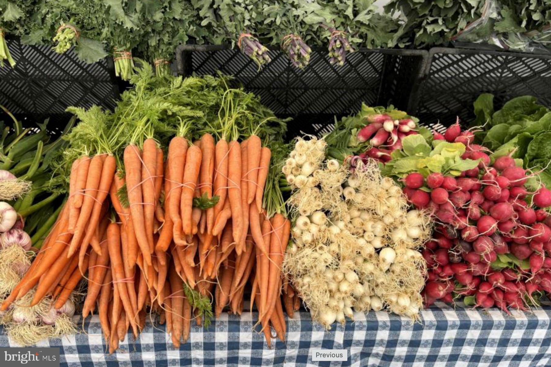 ROBINSON MANOR - Residential