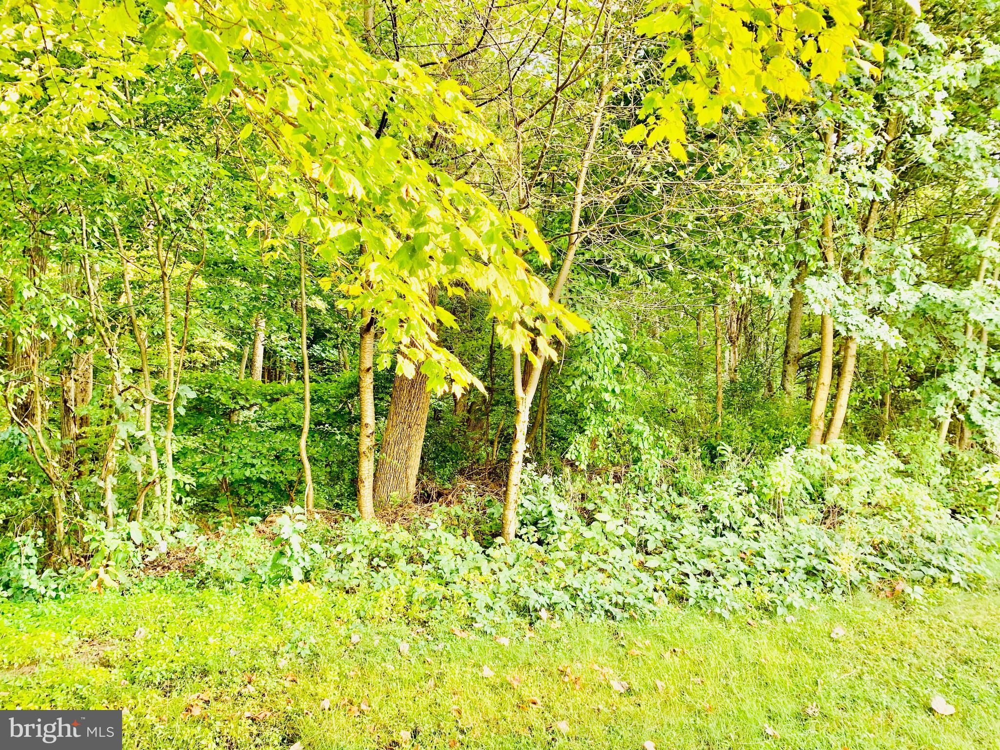 FRIEDEN MANOR - Residential