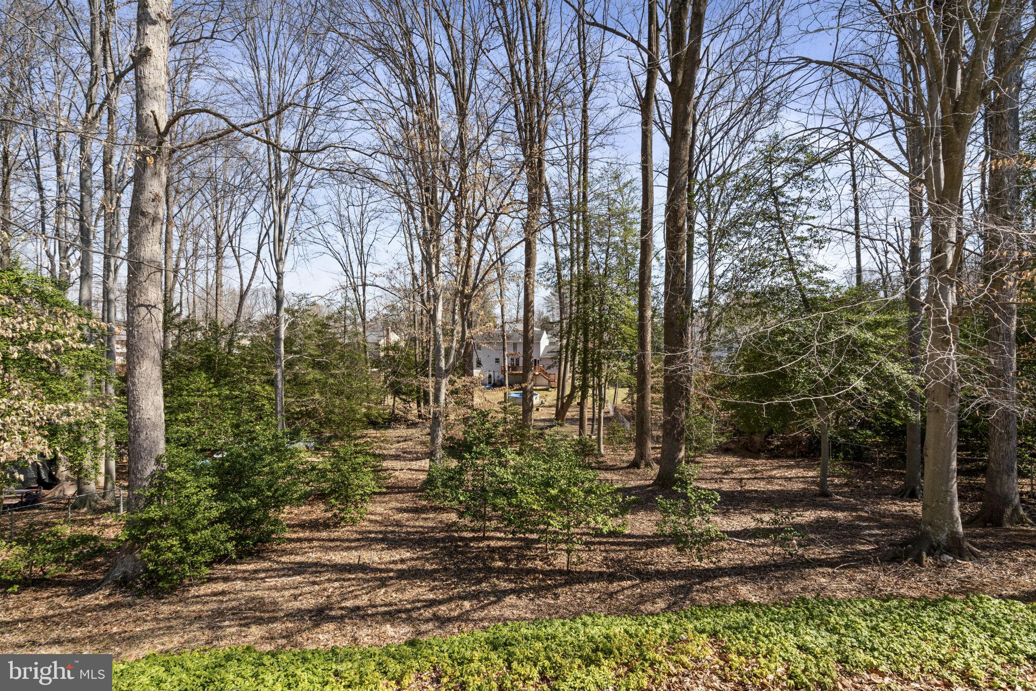 COLONY WOODS - Residential