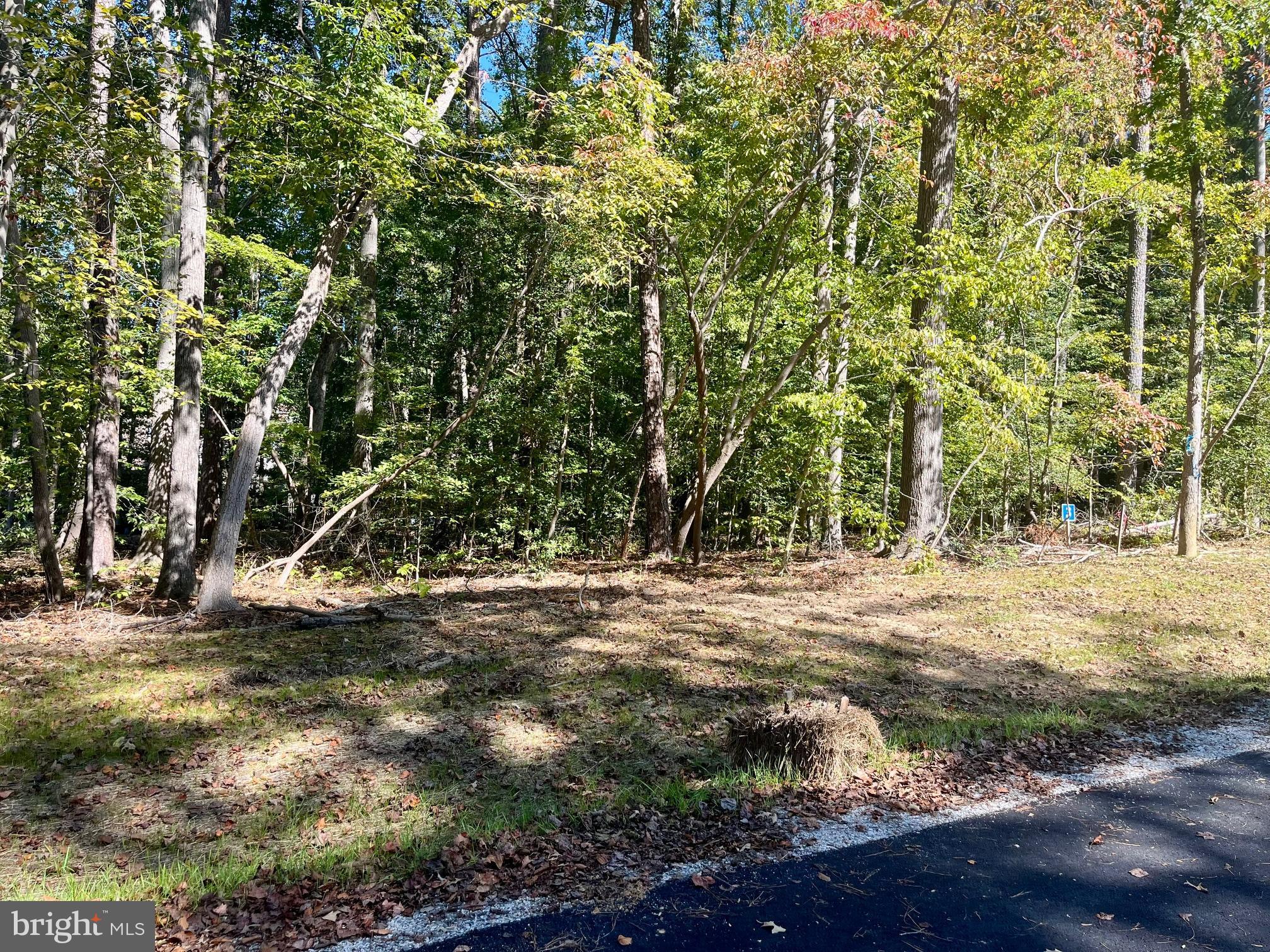 5353 RIDGEWOOD HILLS DRIVE