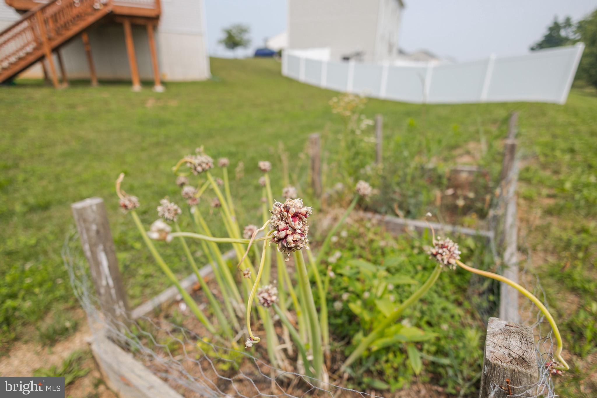 ARCADIA NORTH - Residential