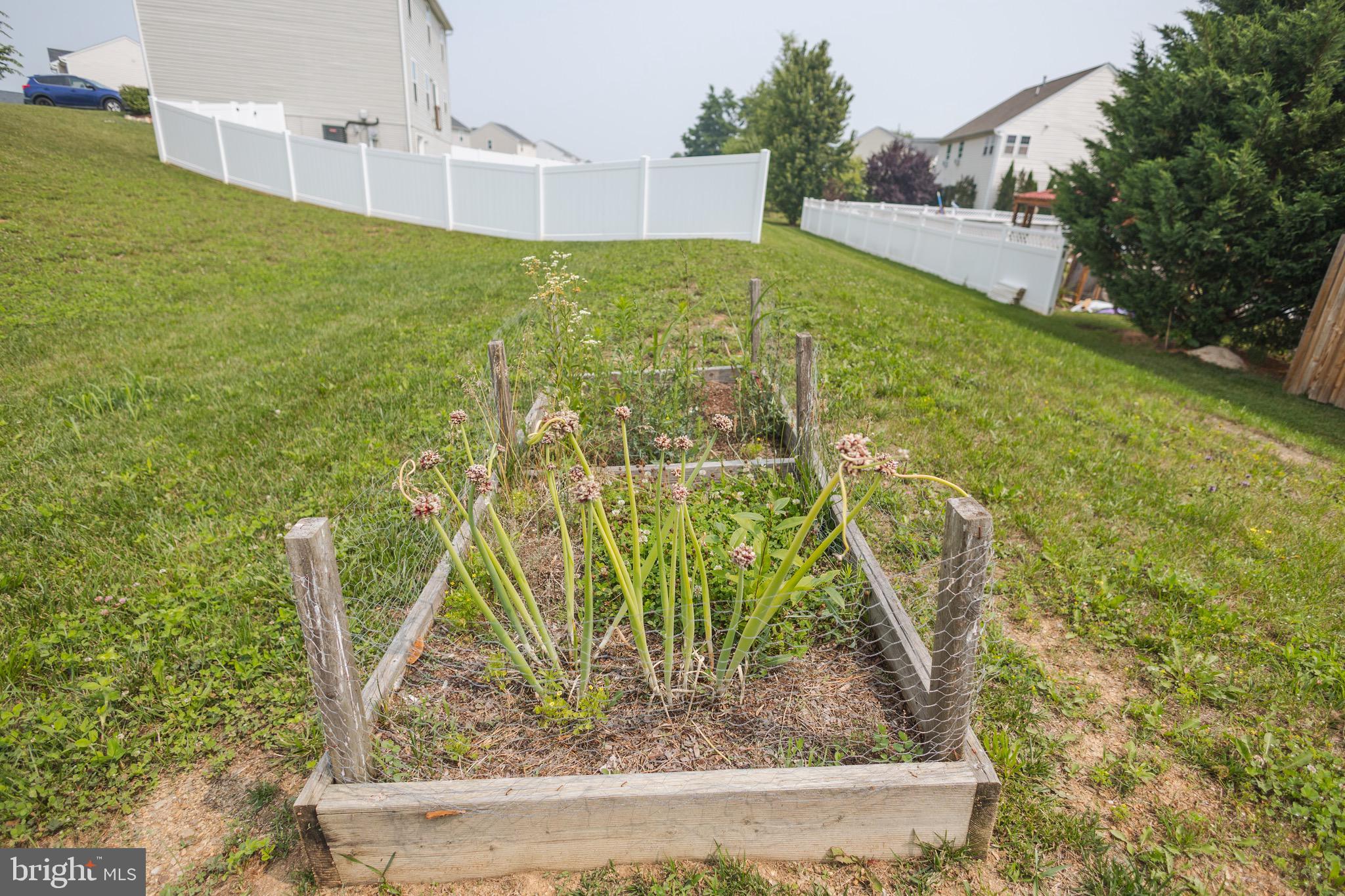 ARCADIA NORTH - Residential