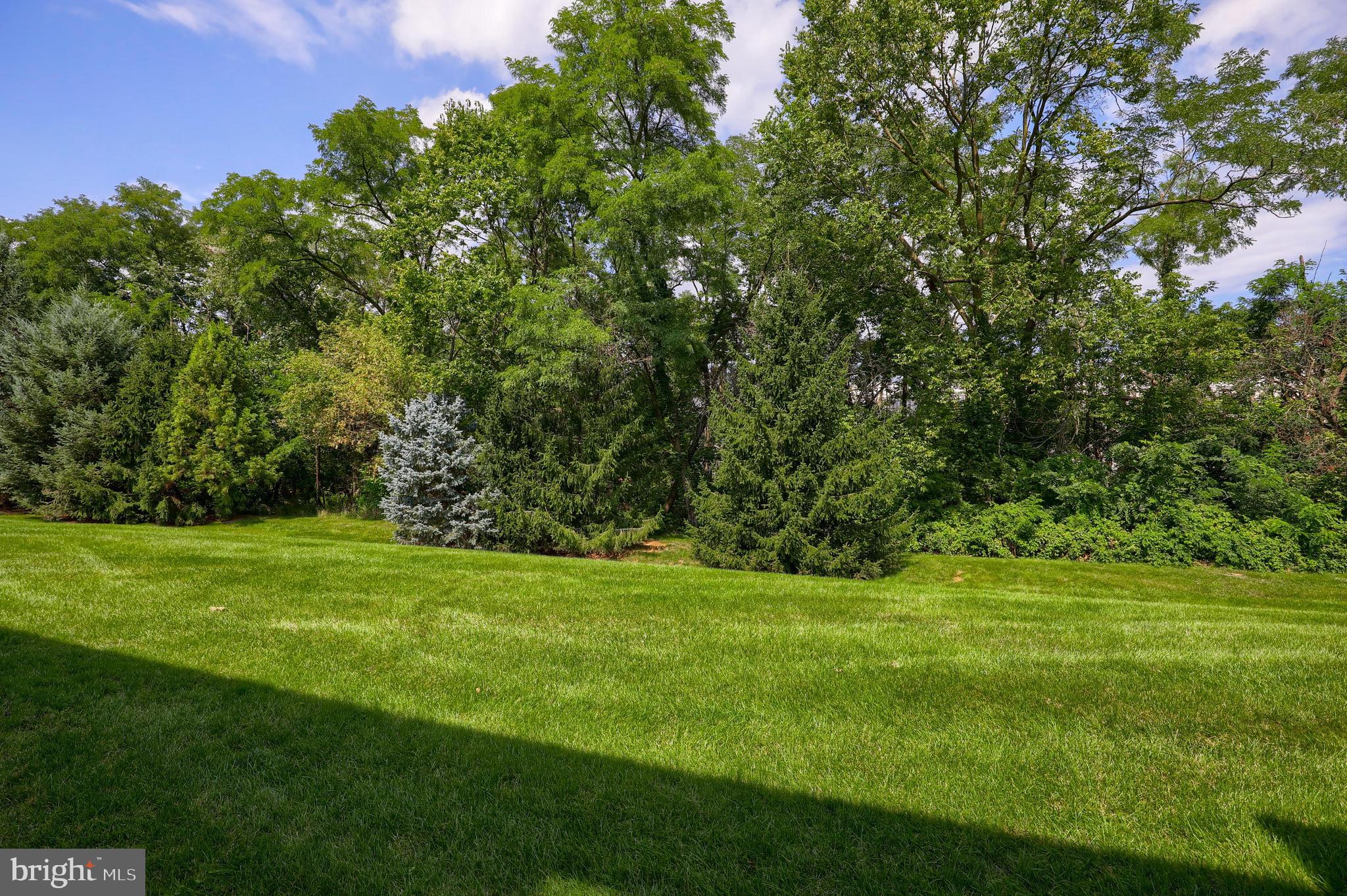 CHAMBERS CROSSING - Residential