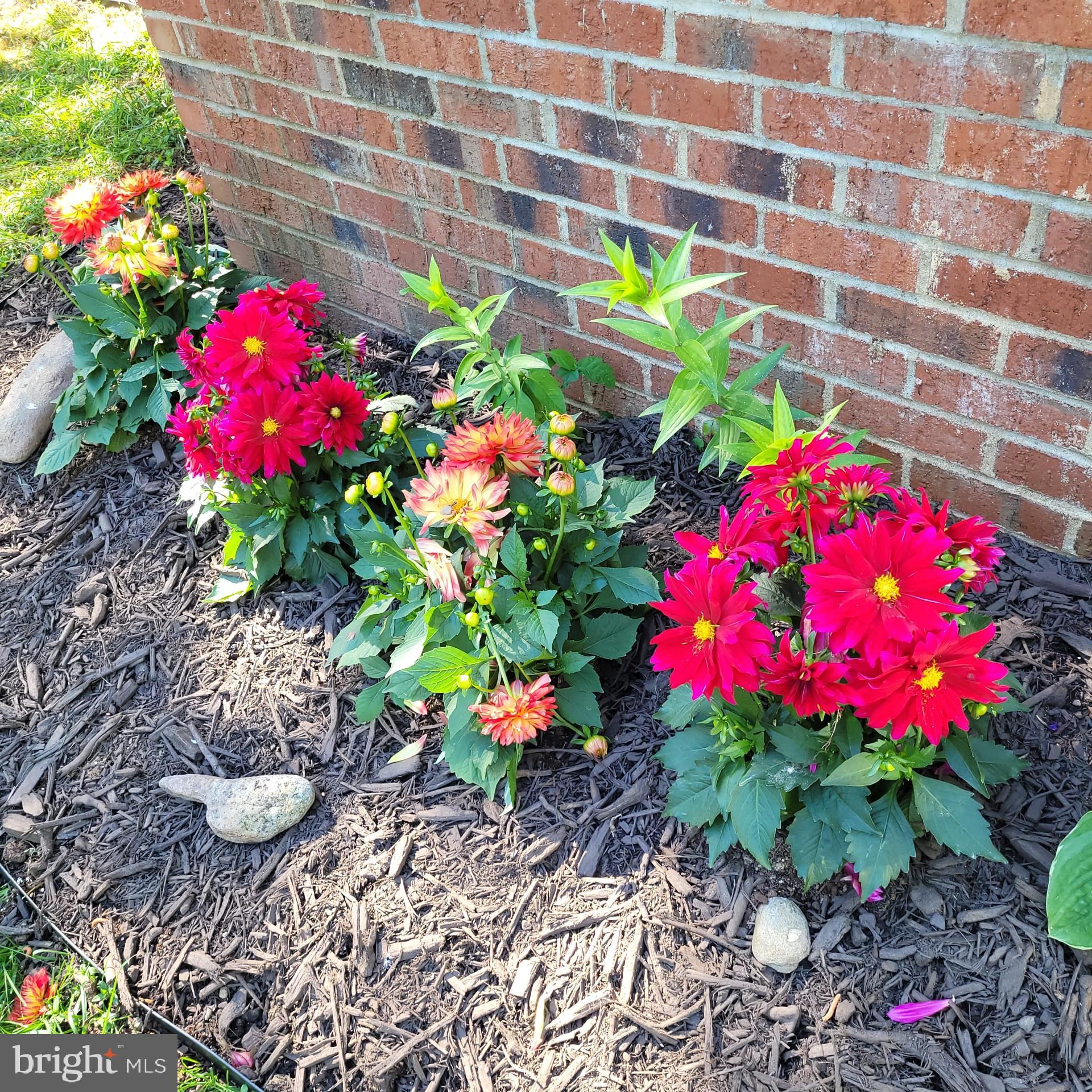 WICOMICO SHORES - Residential
