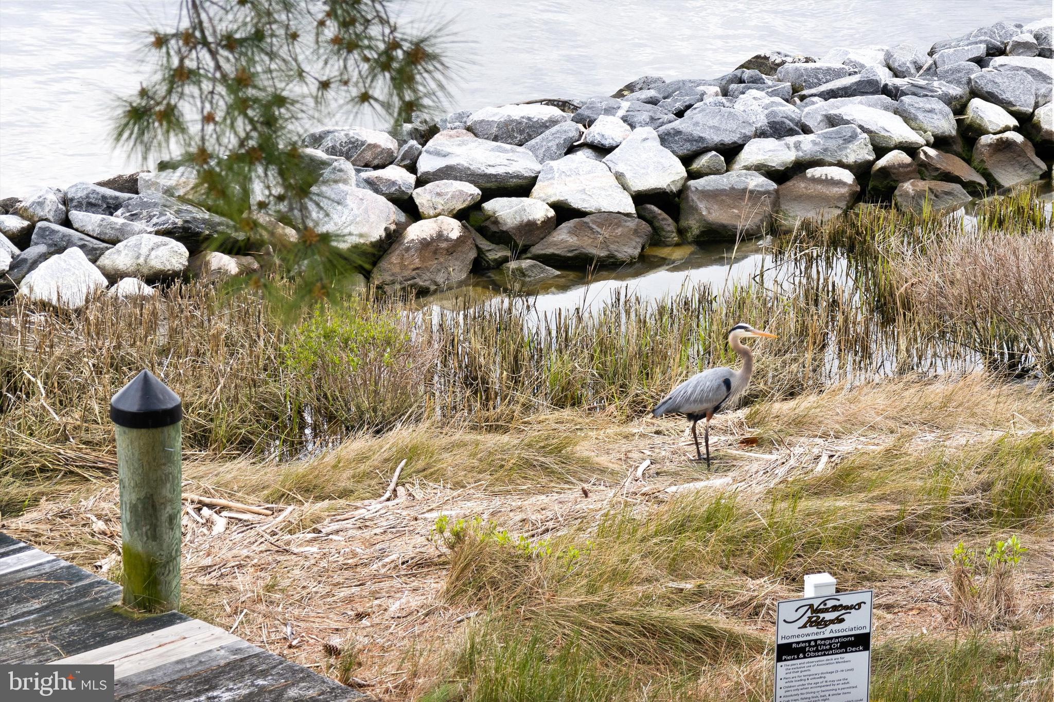 NARROWS POINTE - Residential