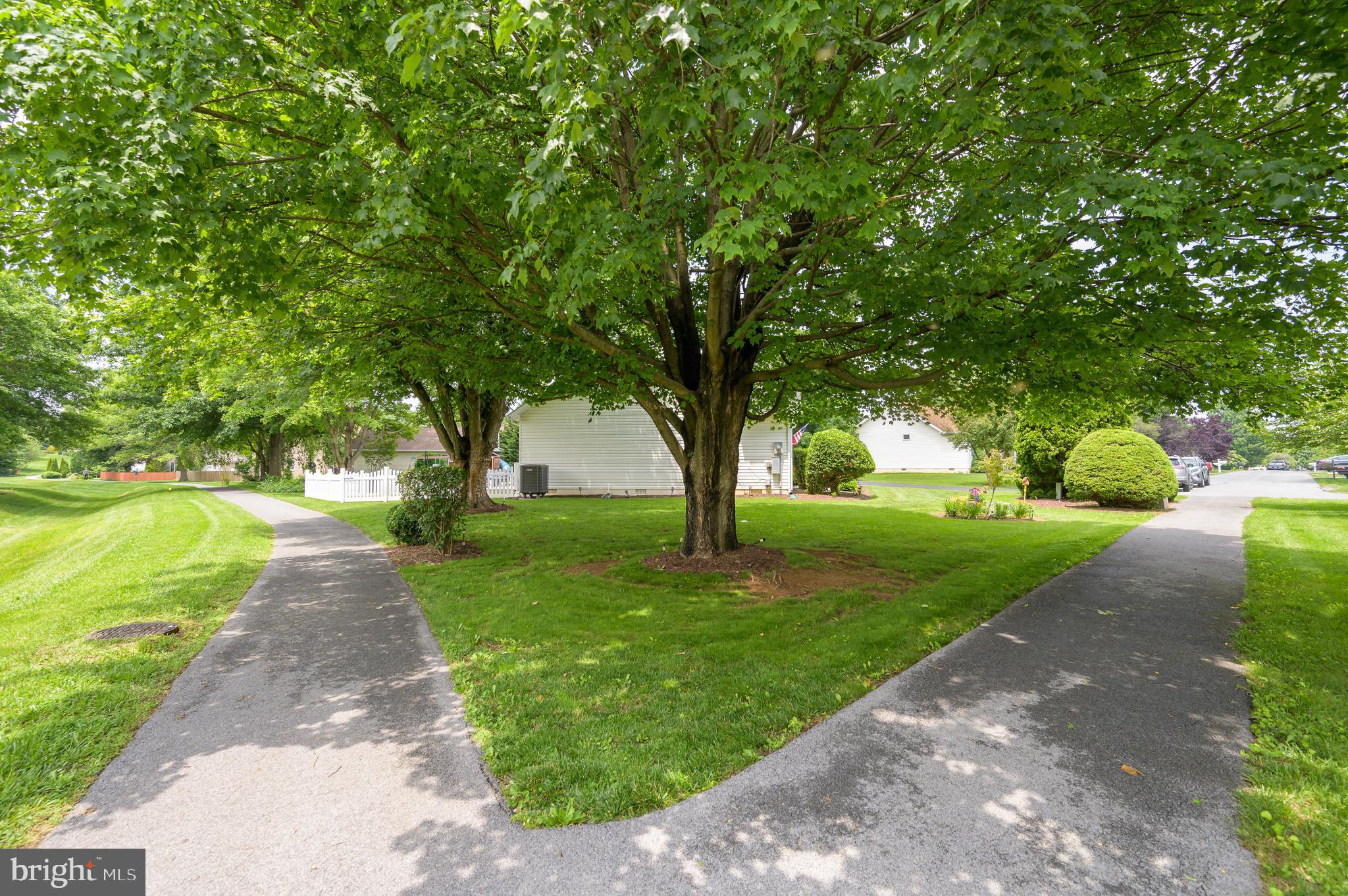 SPRING MILLS - Residential