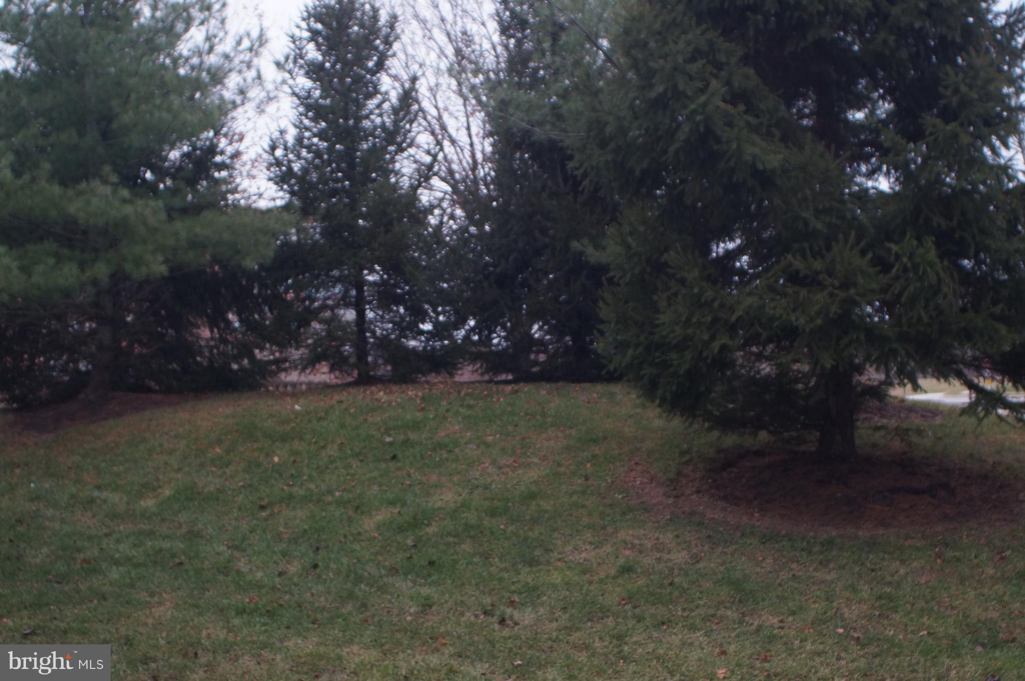 STONE RIDGE - Residential