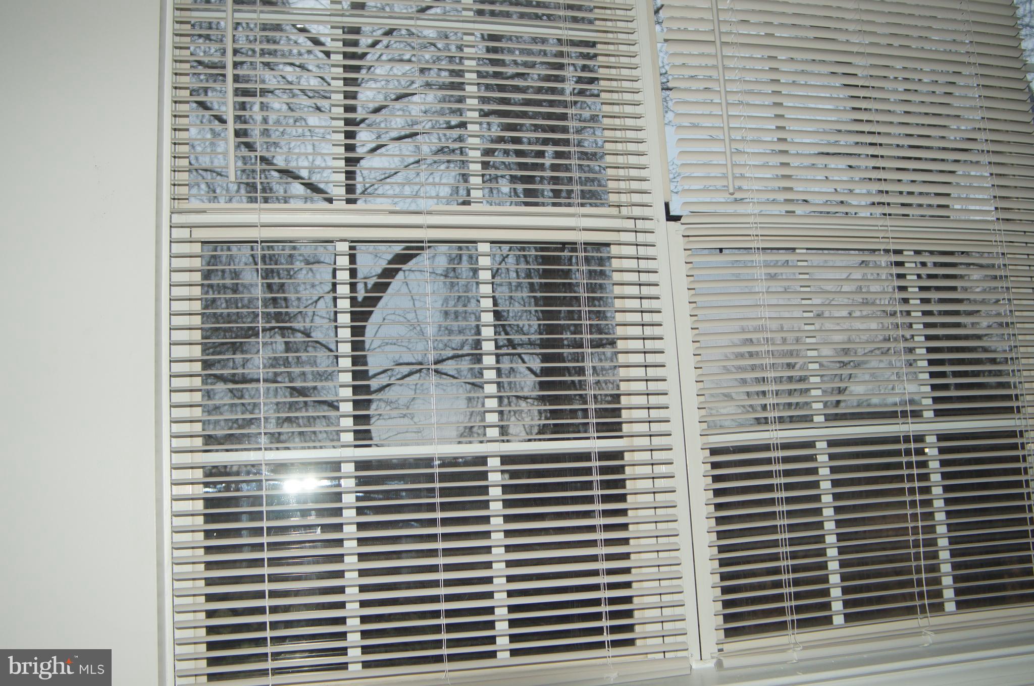 STONE RIDGE - Residential