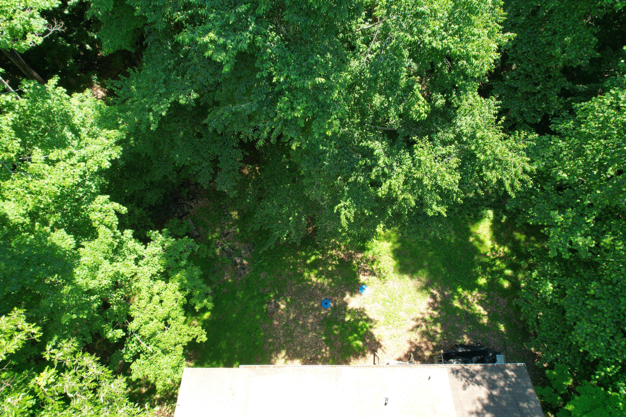 DORY COURT - Residential