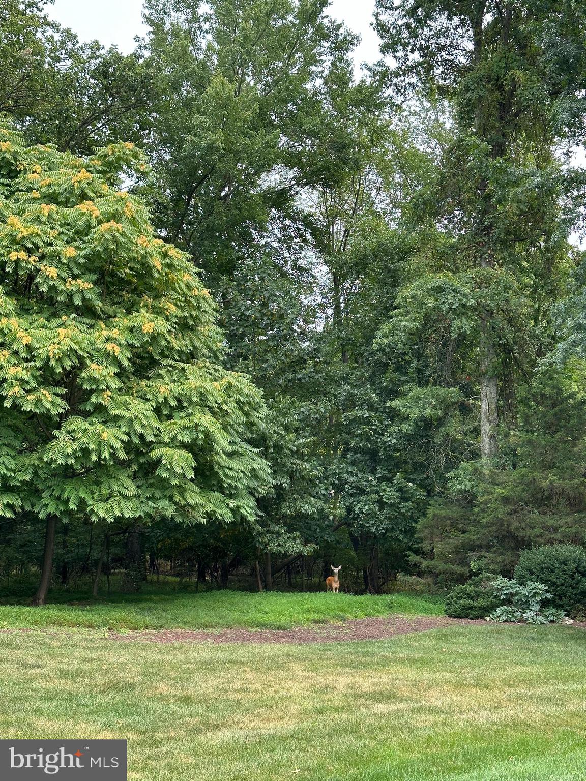 BROOKSIDE - Residential