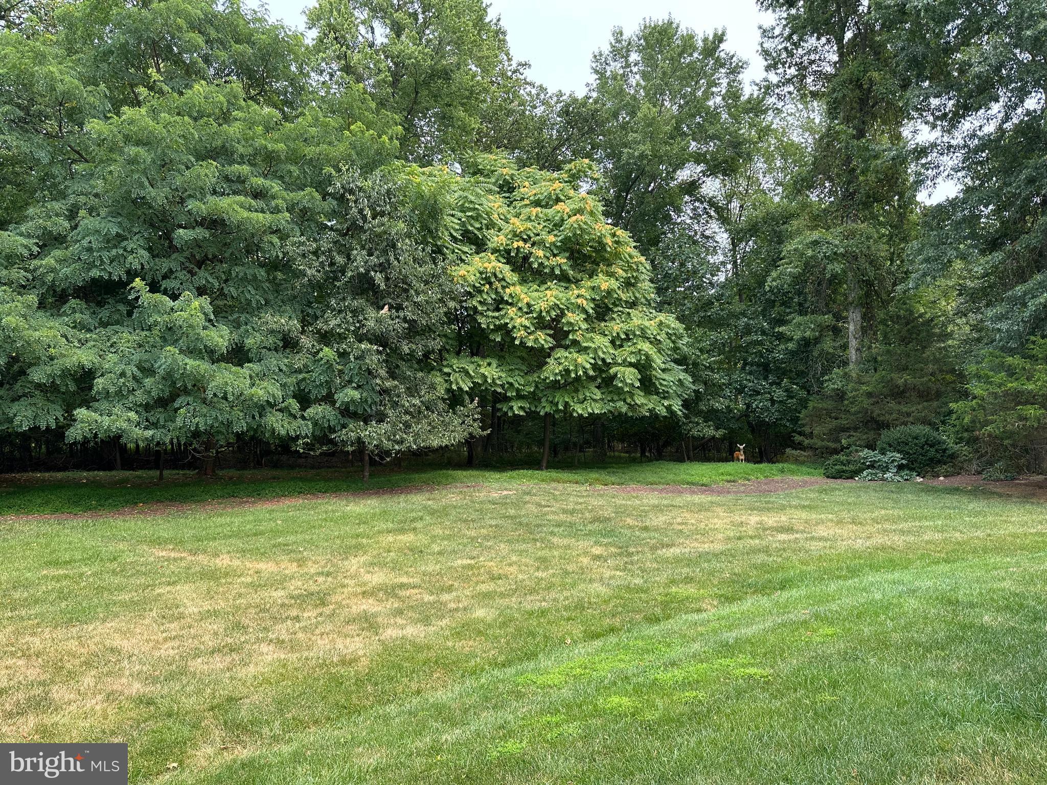 BROOKSIDE - Residential