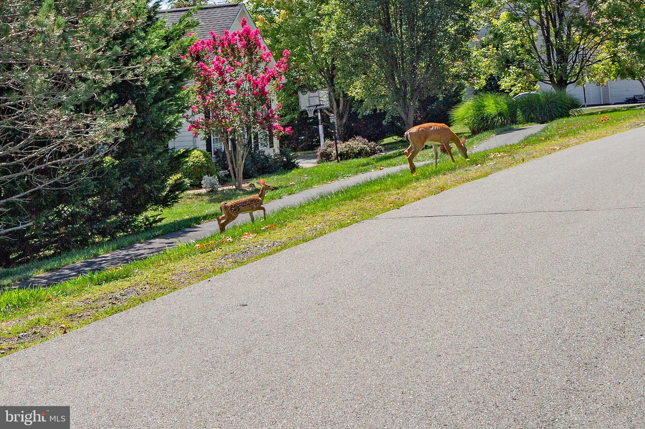 BROOKSIDE - Residential