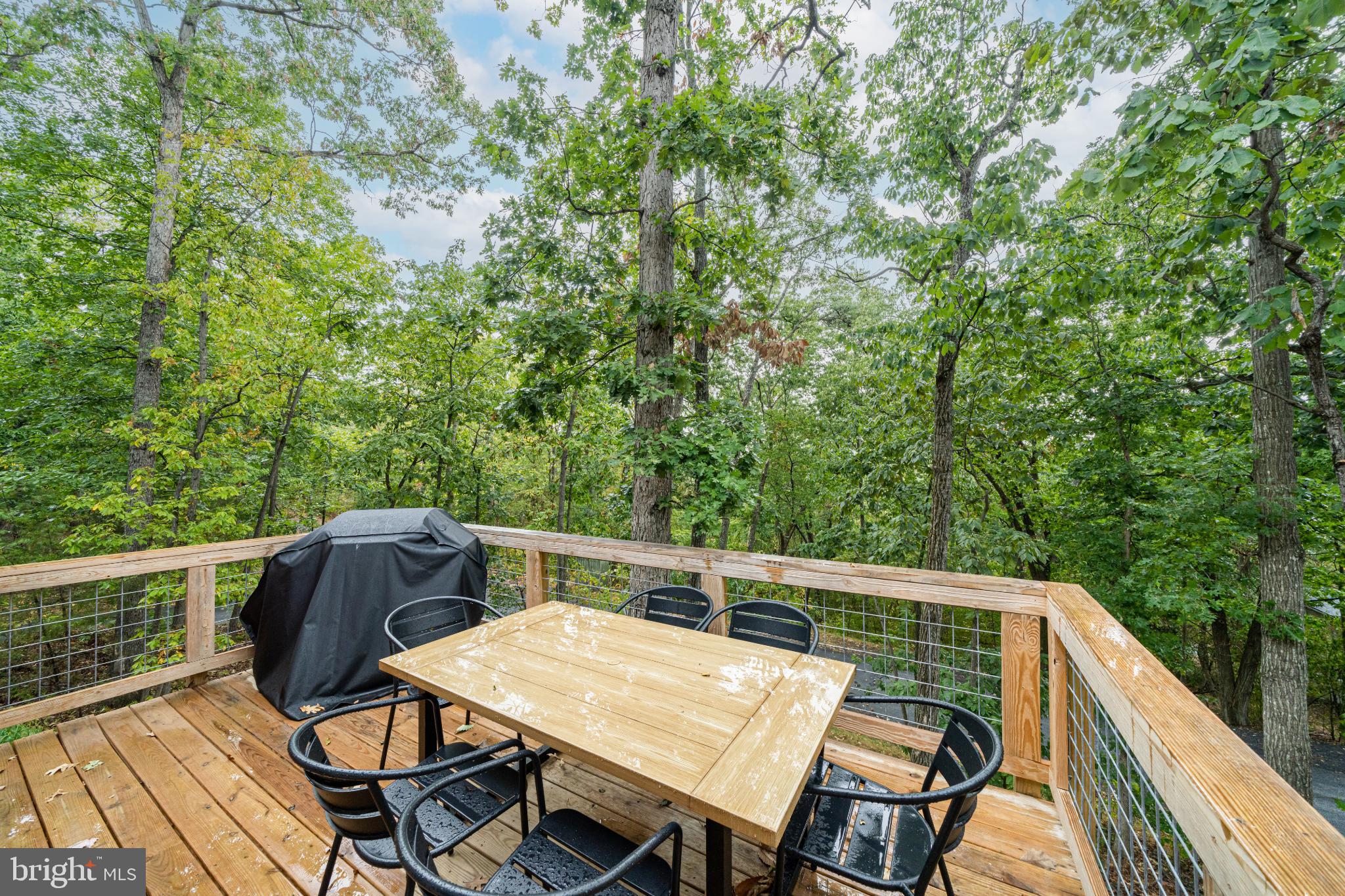 BRYCE  MOUNTAIN  RESORT - Residential