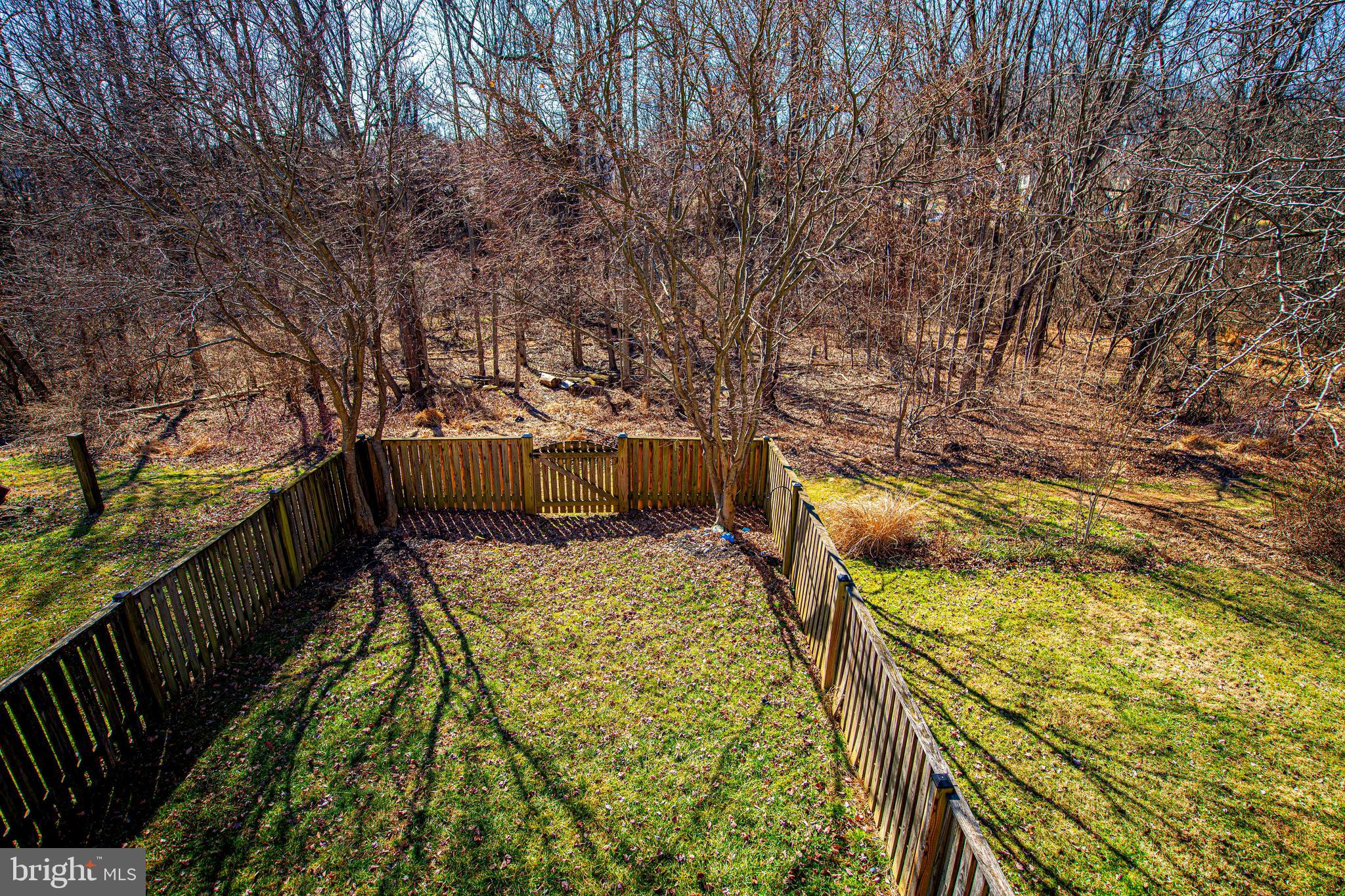 VILLAGE OF THOMAS RUN - Residential