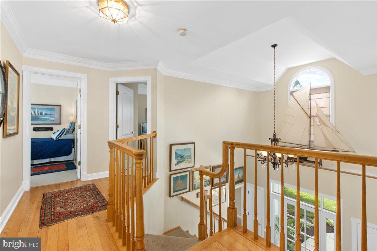 CHANDLER POINT - Residential