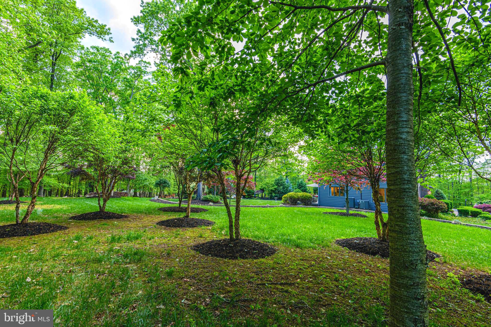 FREELAND - Residential