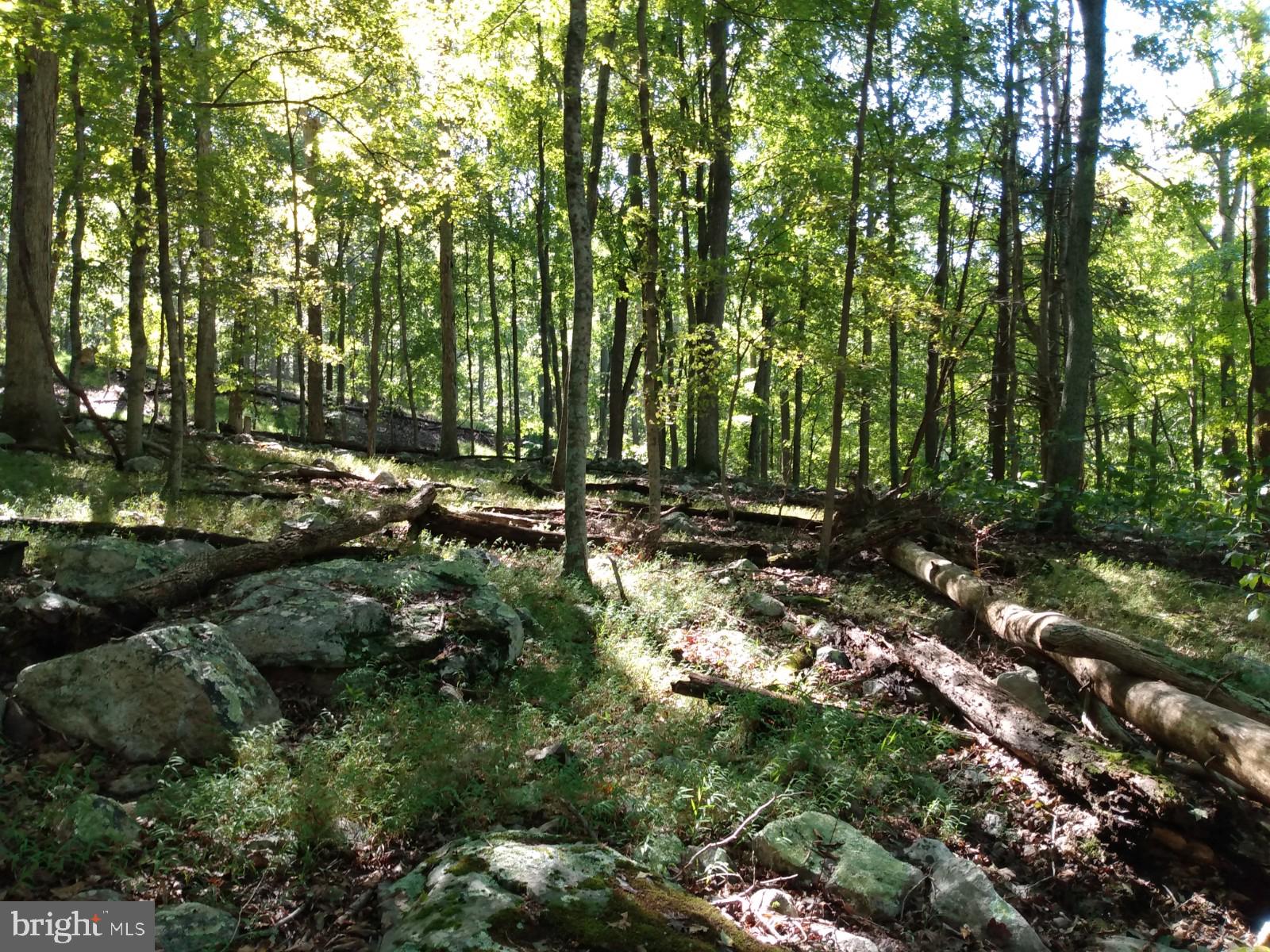 CAPON RIVER VISTA - Land