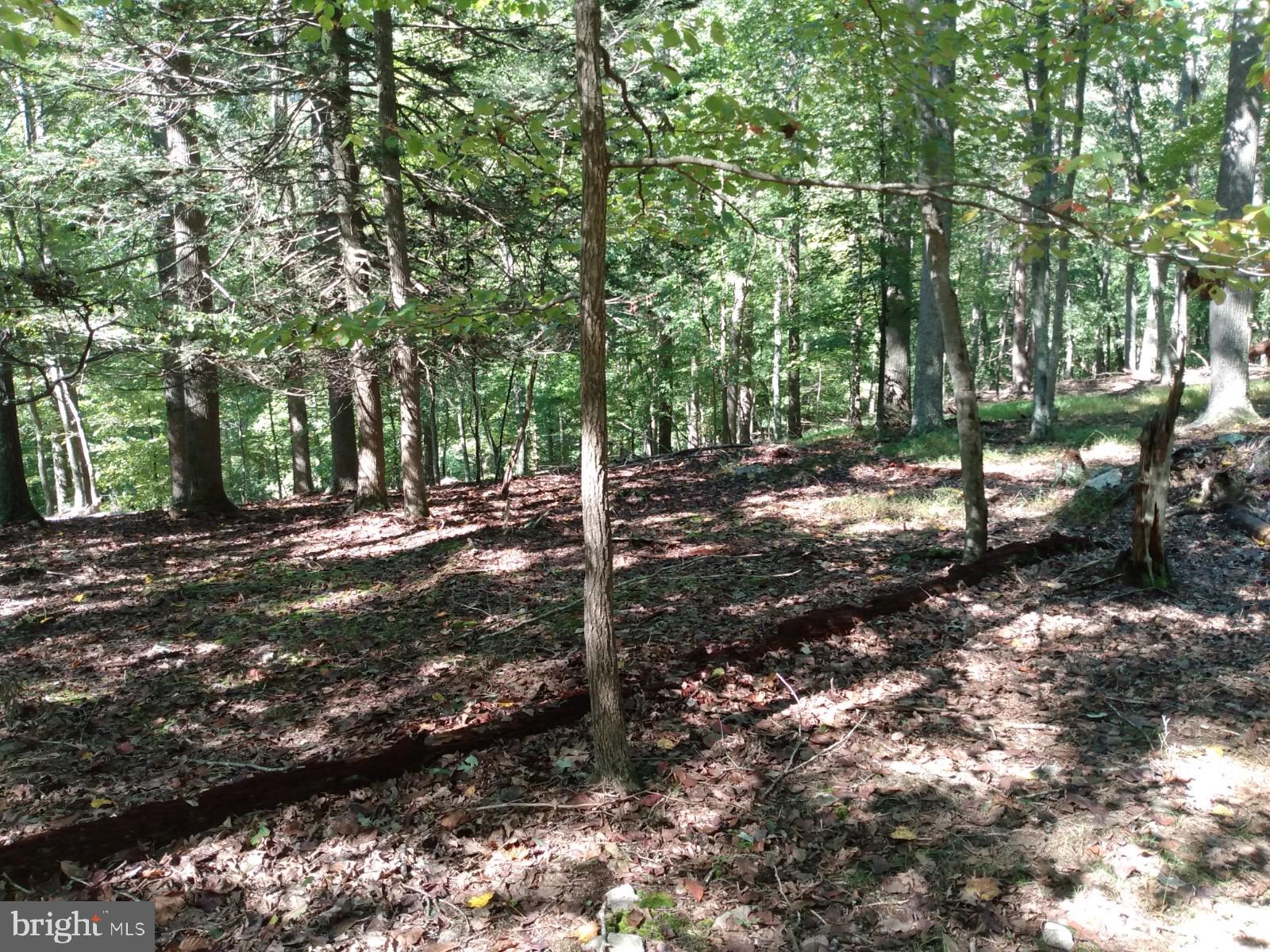 CAPON RIVER VISTA - Land