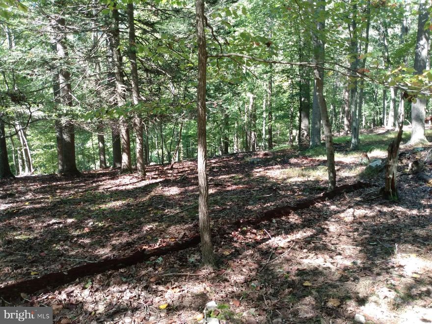 Beautiful wooded lot with Cacapon River View & Access, The rivers edge is within 100 ft. of this lot,  with easy access for boating, fishing and swimming directly in front. This is a rare find! to be able to build or camp within easy sight of the water but yet high enough to be out of the flood zone. As an added bonus there is a mountain stream that flows most of the year. Several nice buildings areas so you choose what best for your needs.   Come out for a look today!