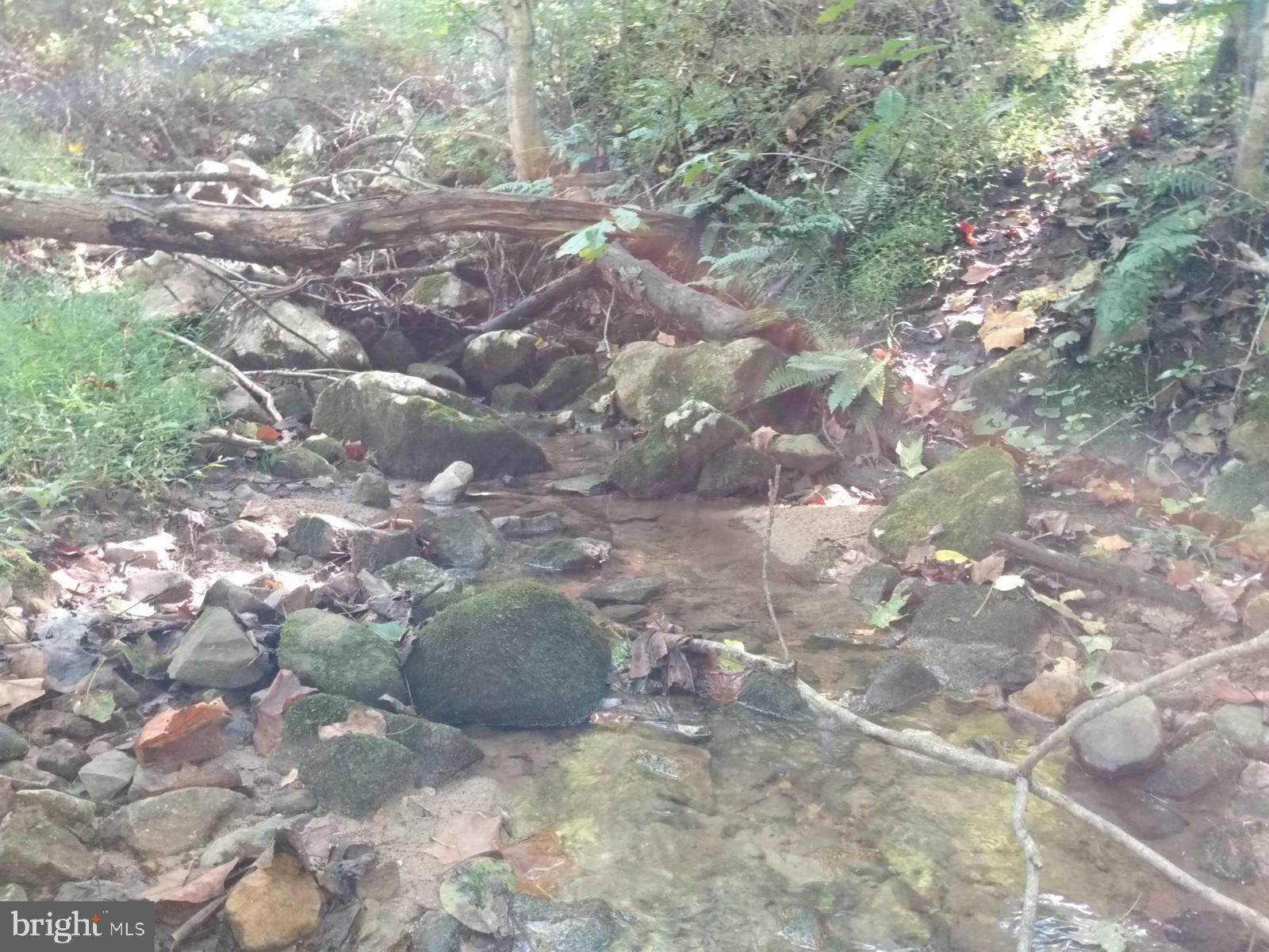 CAPON RIVER VISTA - Land