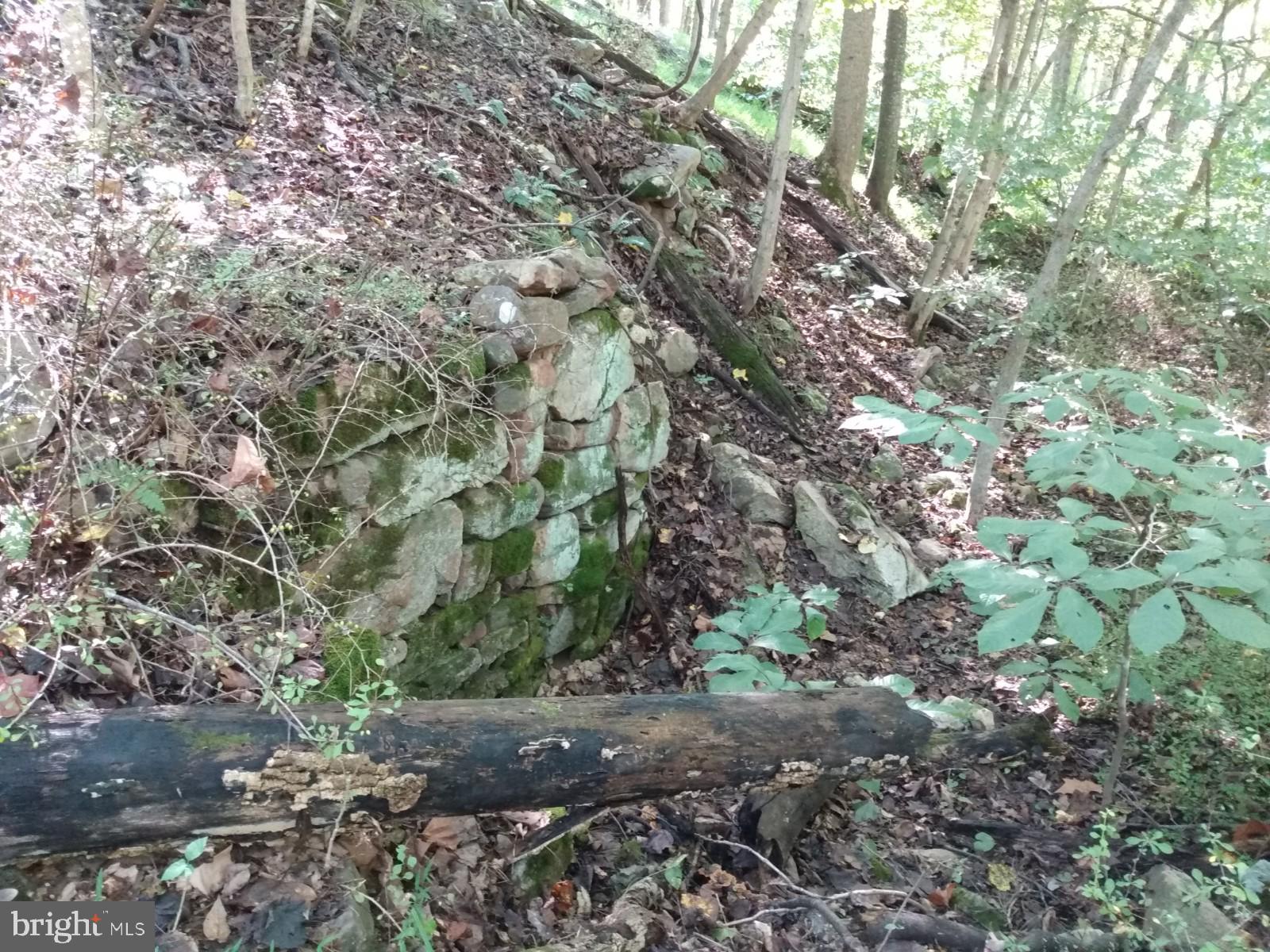 CAPON RIVER VISTA - Land