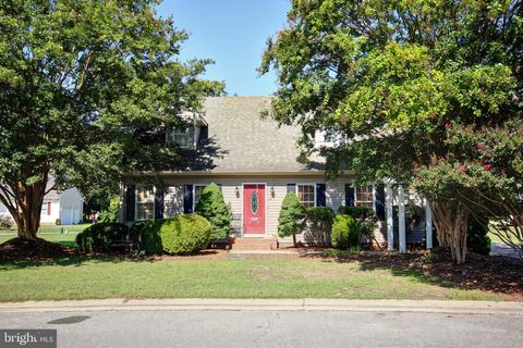 1411 CHATEAU DRIVE SALISBURY MD 21801