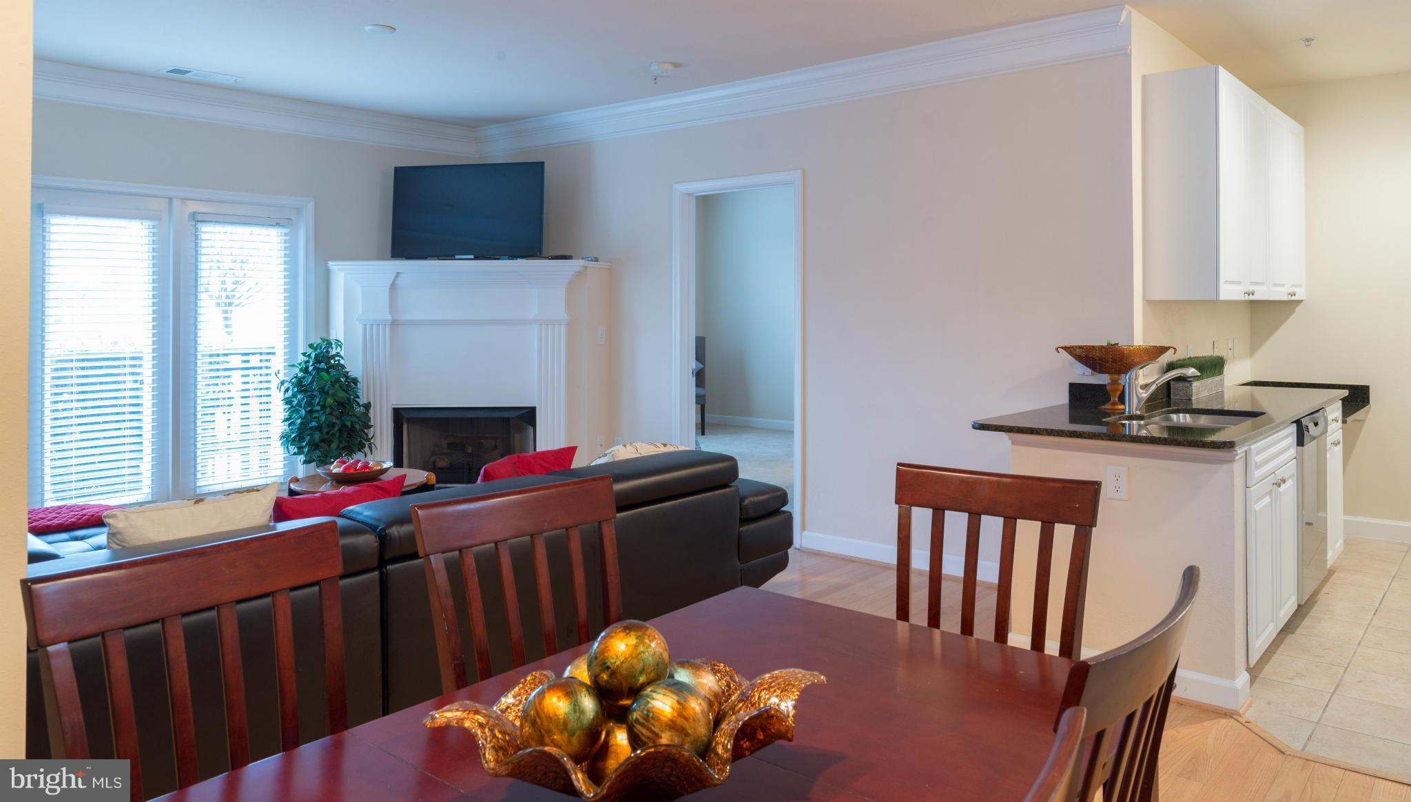 FITZ AT ROCKVILLE TOWN C - Residential