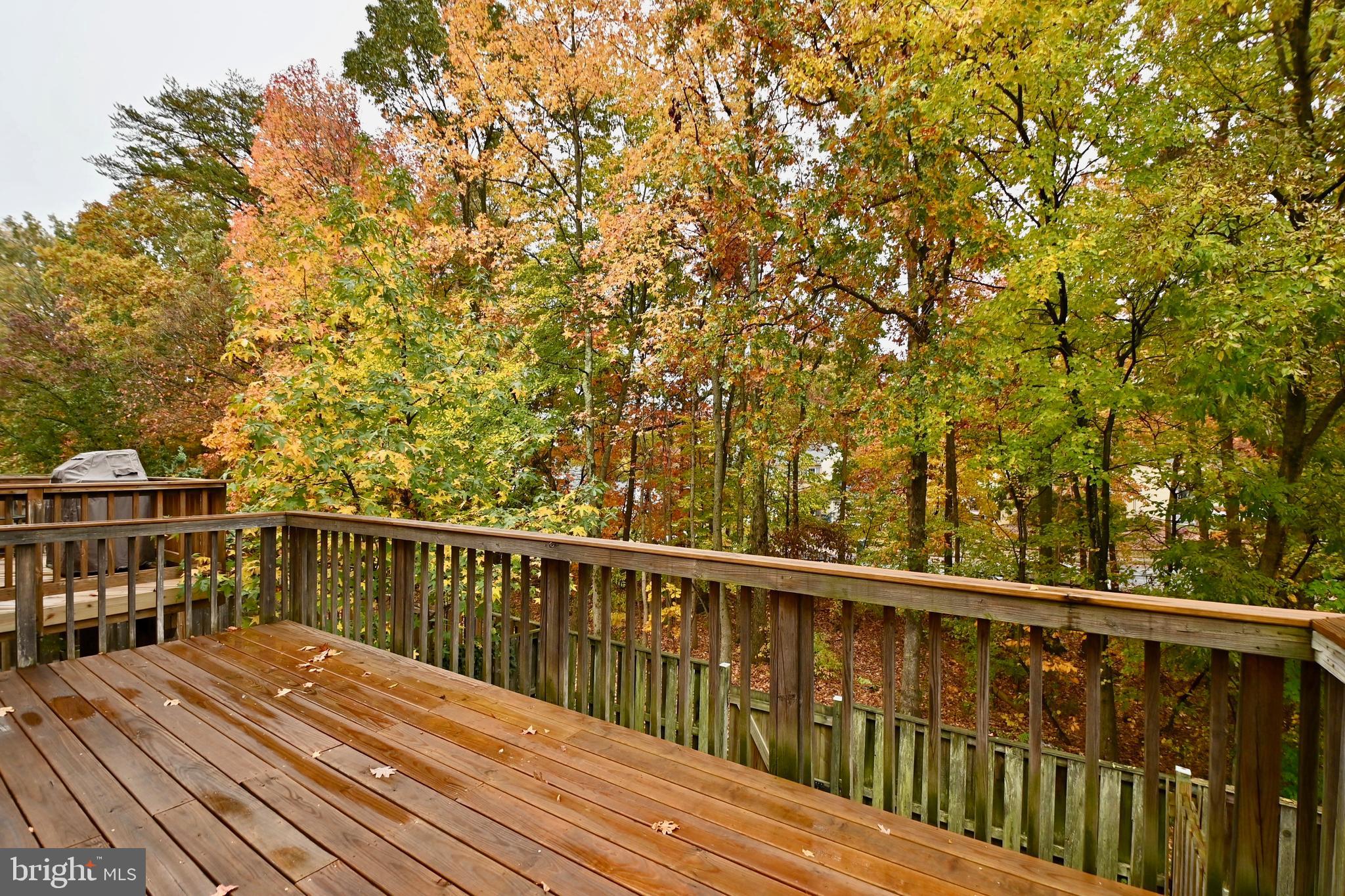 MILLWOOD ESTATES - Residential Lease