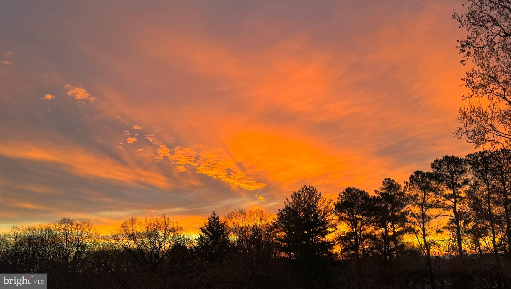 PHEASANT HILL - Residential