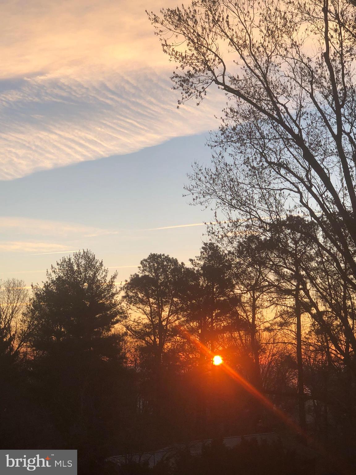 PHEASANT HILL - Residential