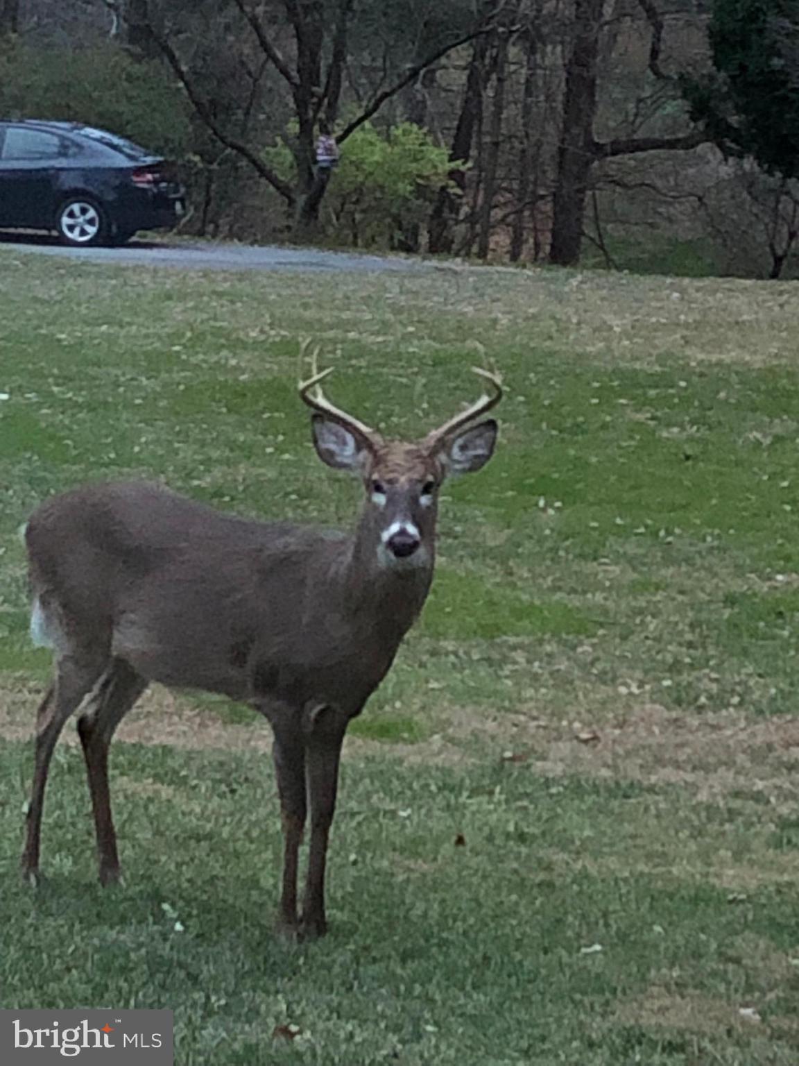 PHEASANT HILL - Residential