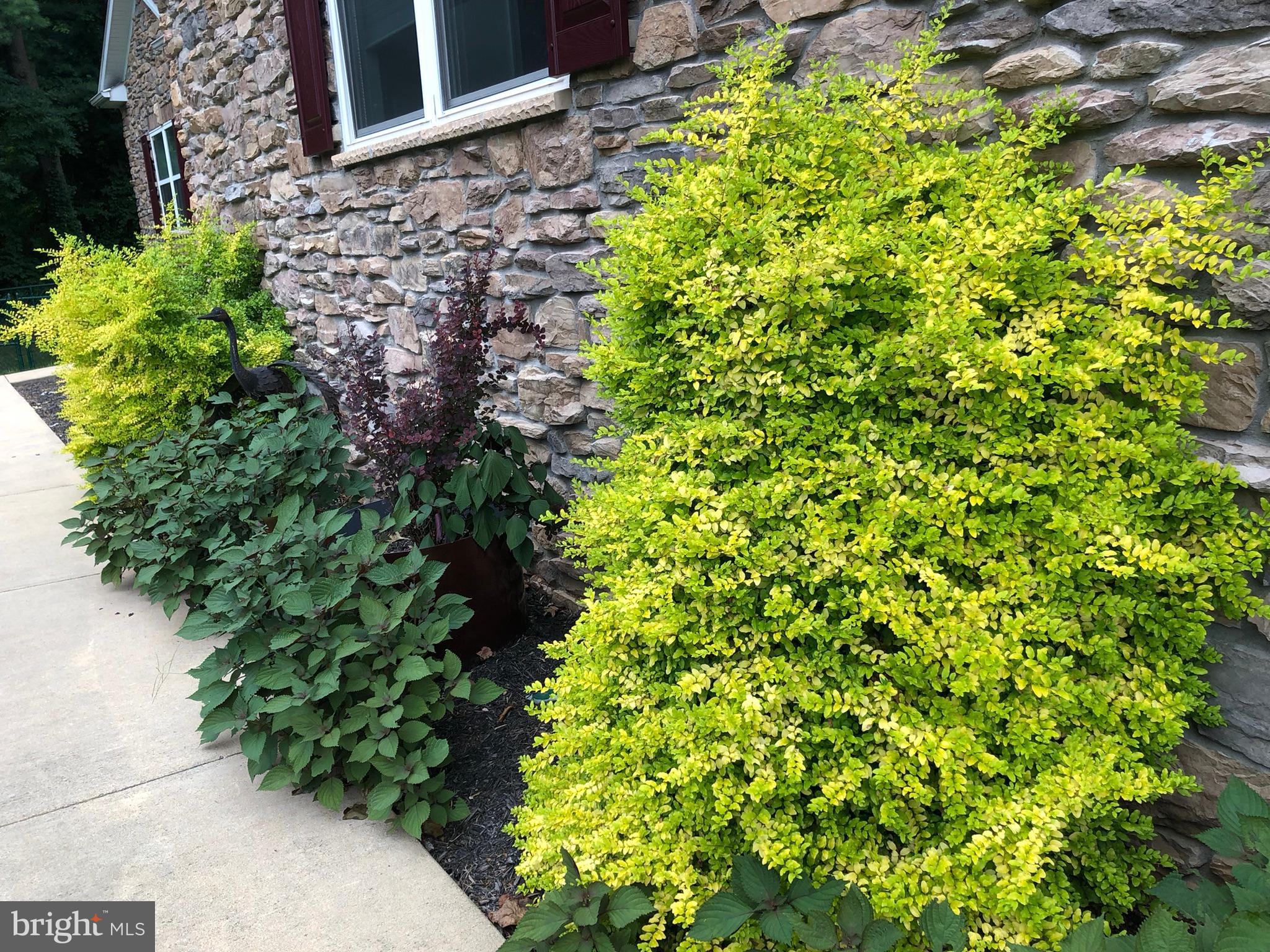 PHEASANT HILL - Residential