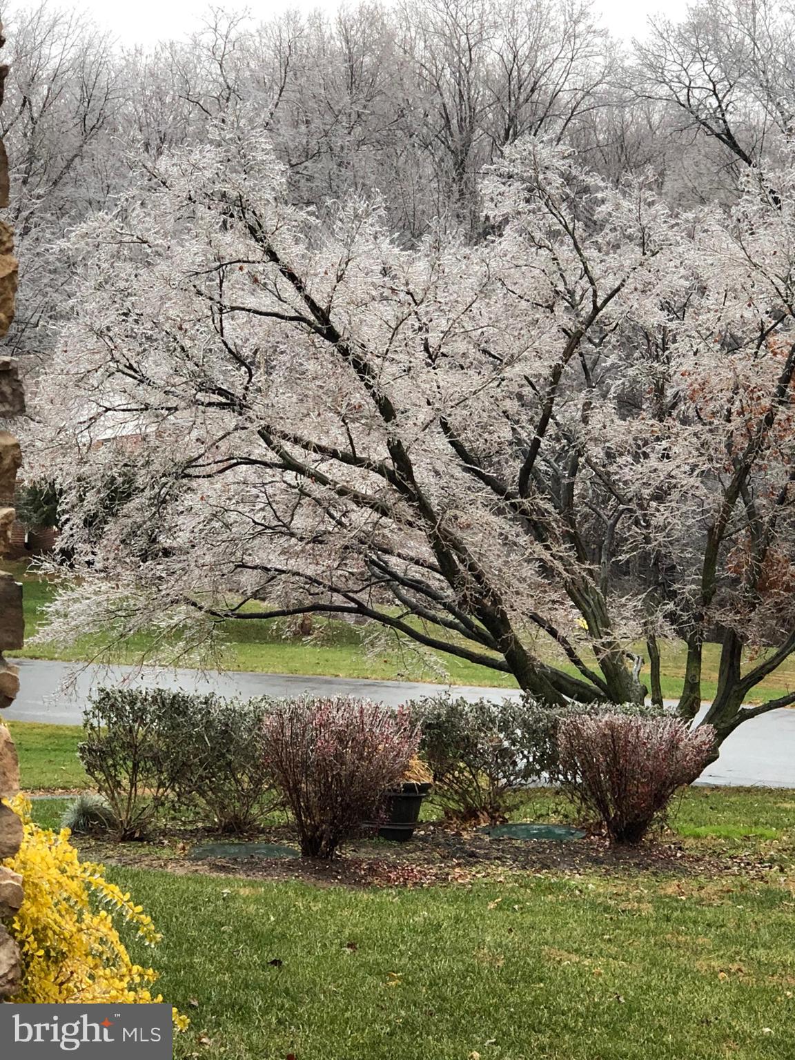 PHEASANT HILL - Residential