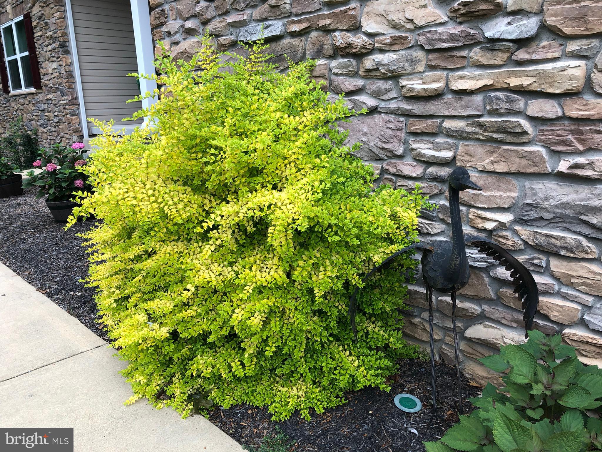 PHEASANT HILL - Residential