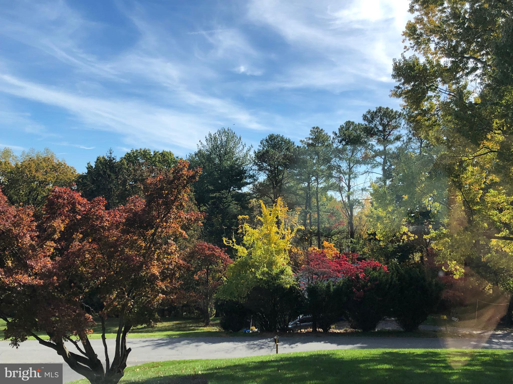 PHEASANT HILL - Residential