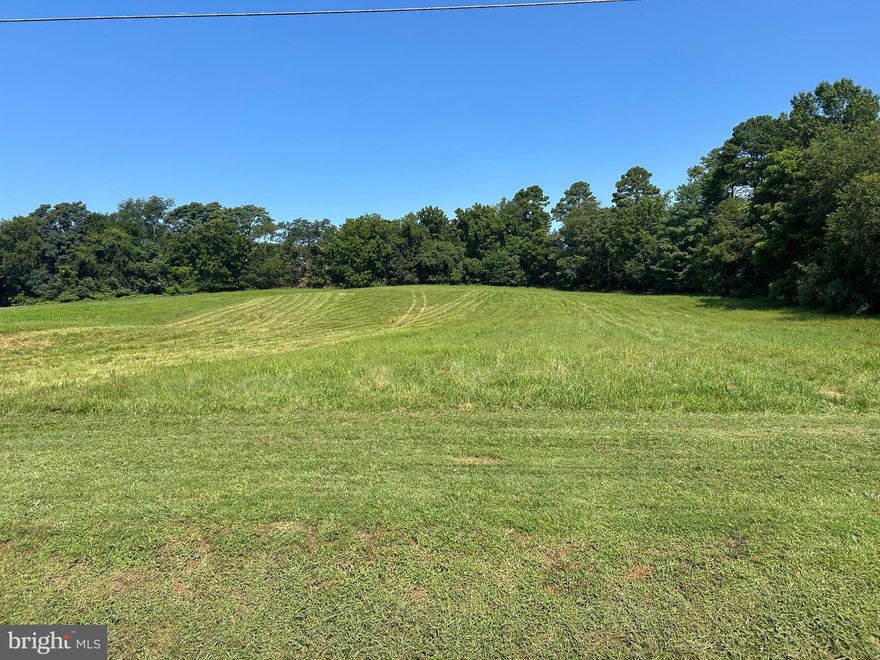 Just Listed!  2.3 acre Rural Commercial Parcel in the Town of Orange, fronting along US Rt 15.  Great location, level to generally rolling, open lot.  Town water and sewer are available, new owner needs to gets lines to the property.  The property is currently zoned RC - plenty of permitted 'by right' uses including; automotive, animal kennels, antique stores, art studios, barbershops, beauty parlors, nail salons, bed and breakfast, breweries, car washes, child care centers, churches...the list is extensive - check with the Town of Orange Planning Department for verification.