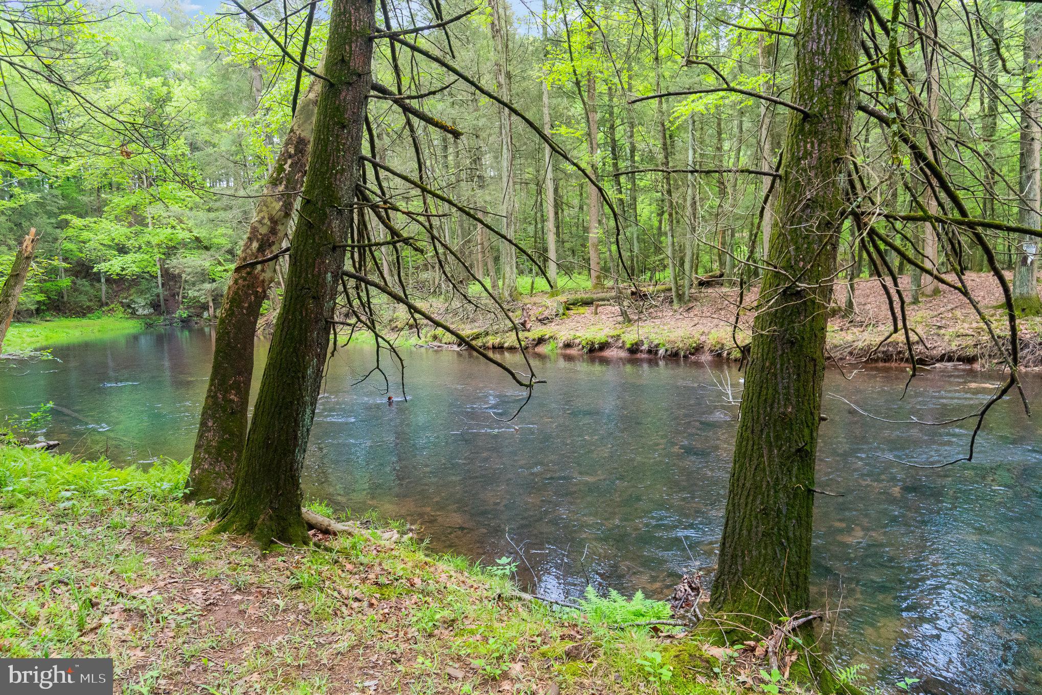 MIDDLE PAXTON TWP. - Residential