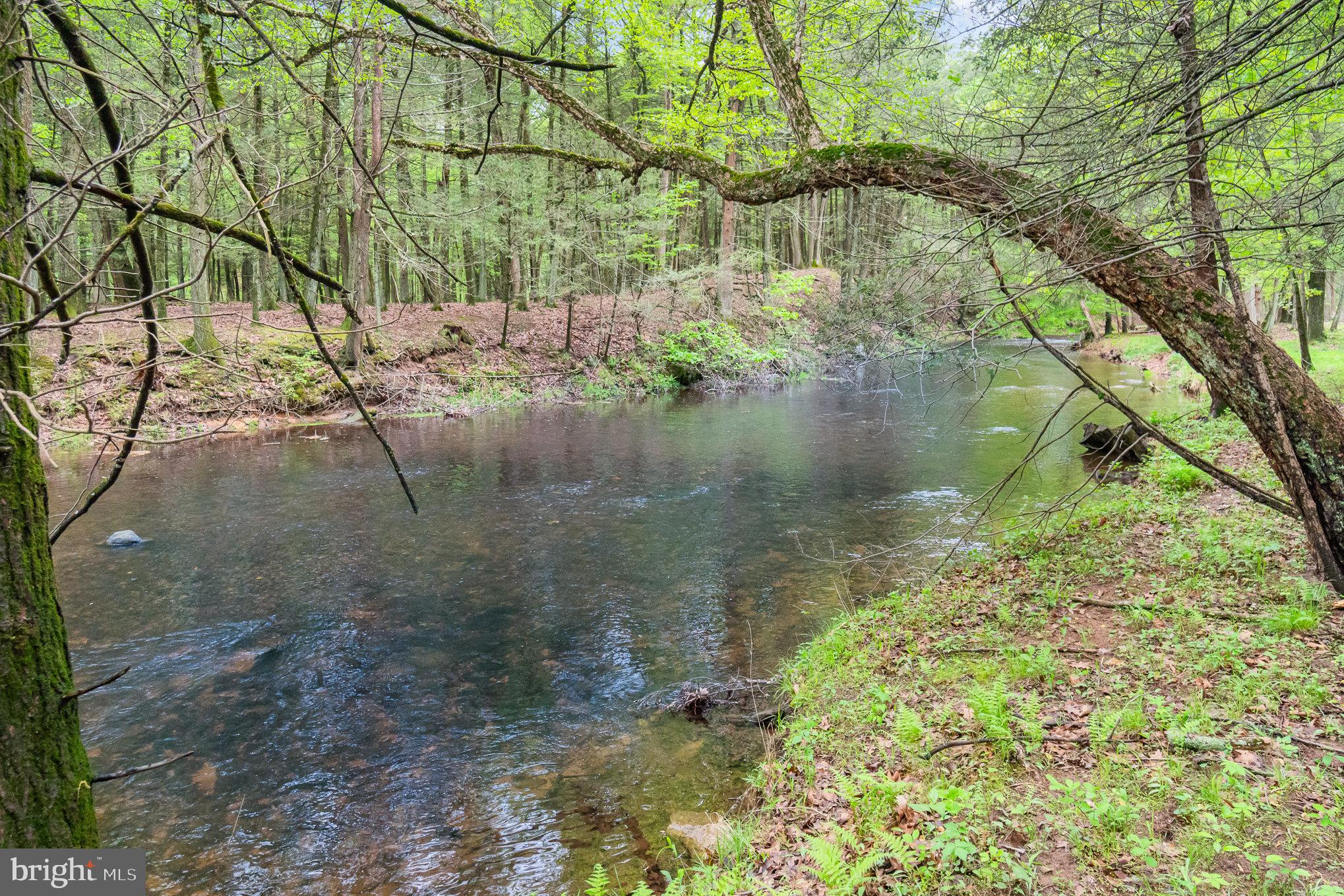 MIDDLE PAXTON TWP. - Residential