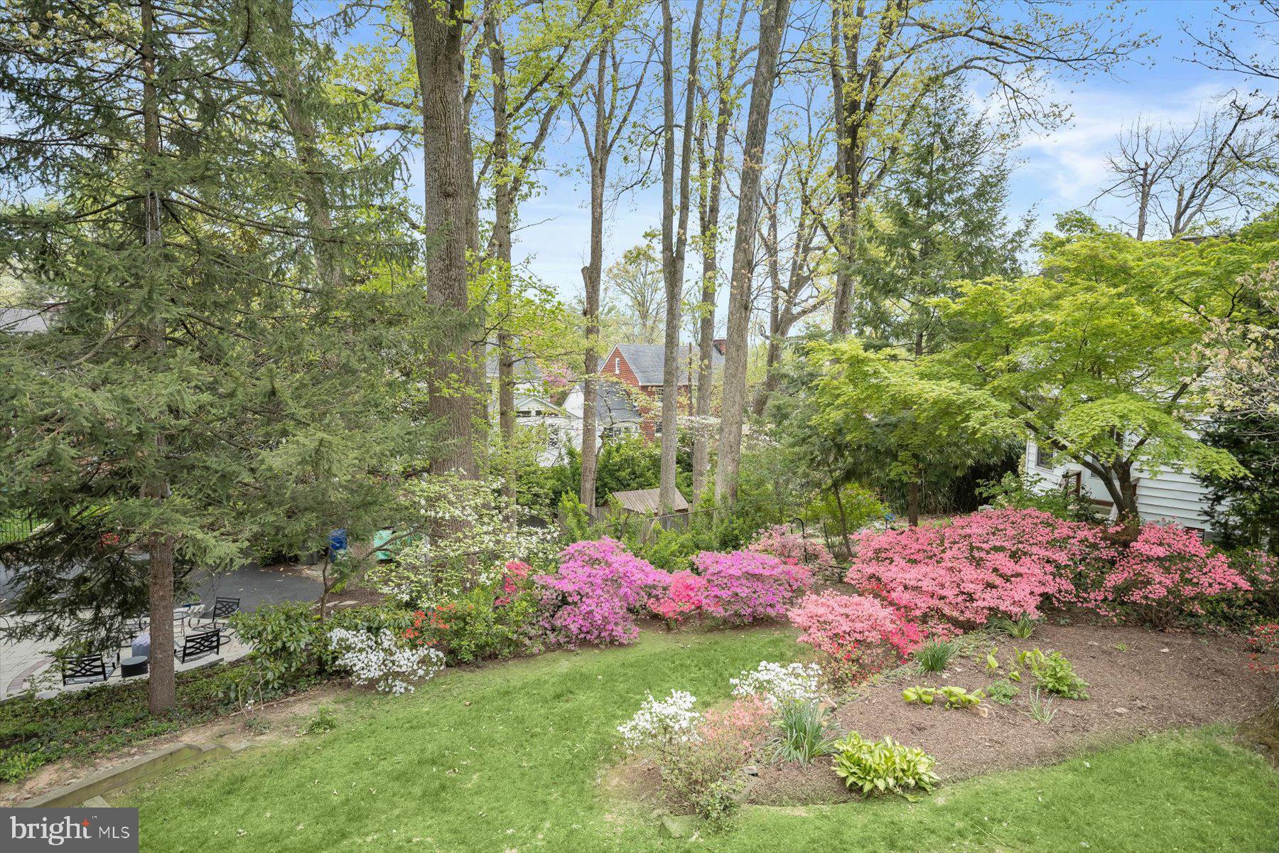 LARCHMONT - Residential