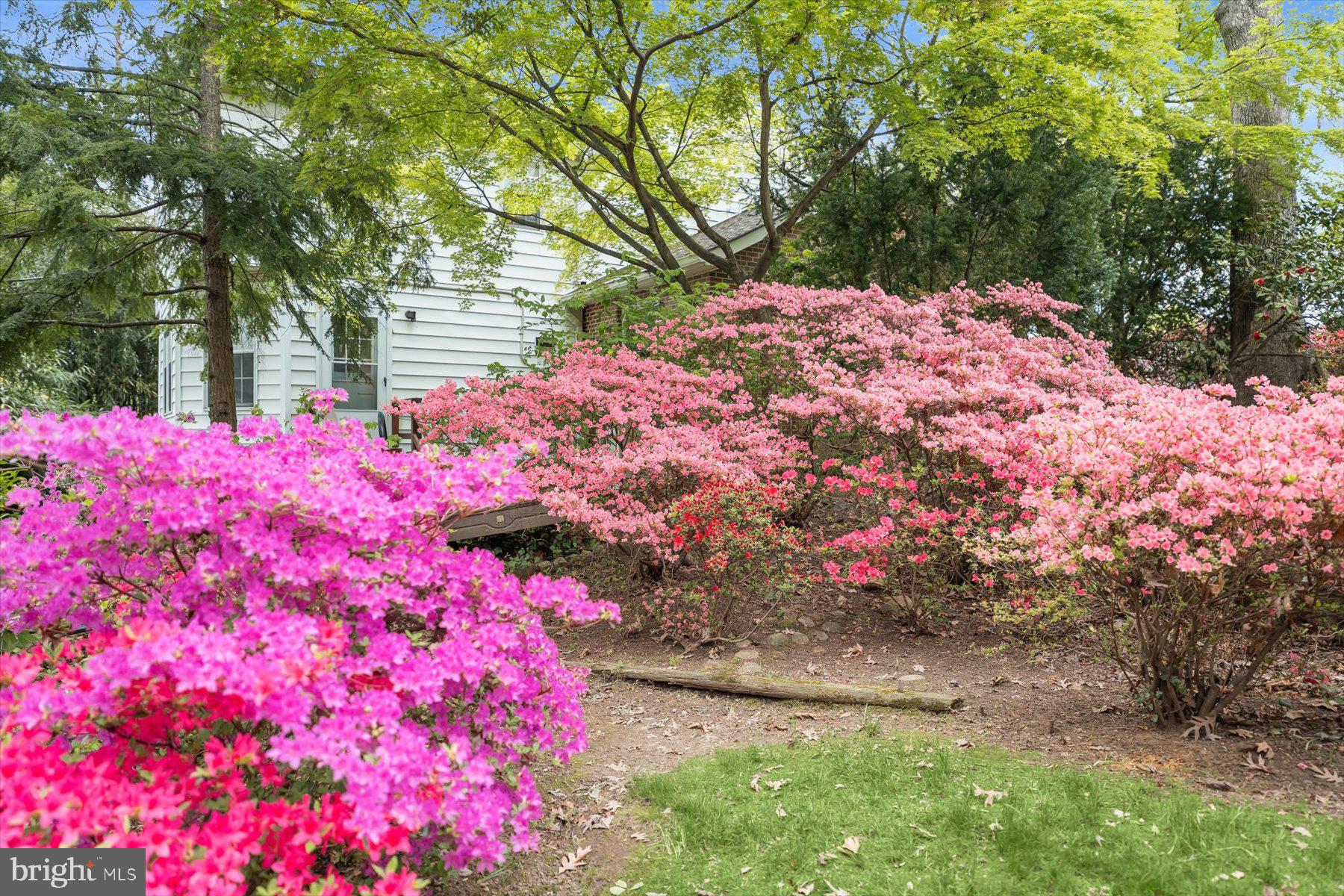 LARCHMONT - Residential